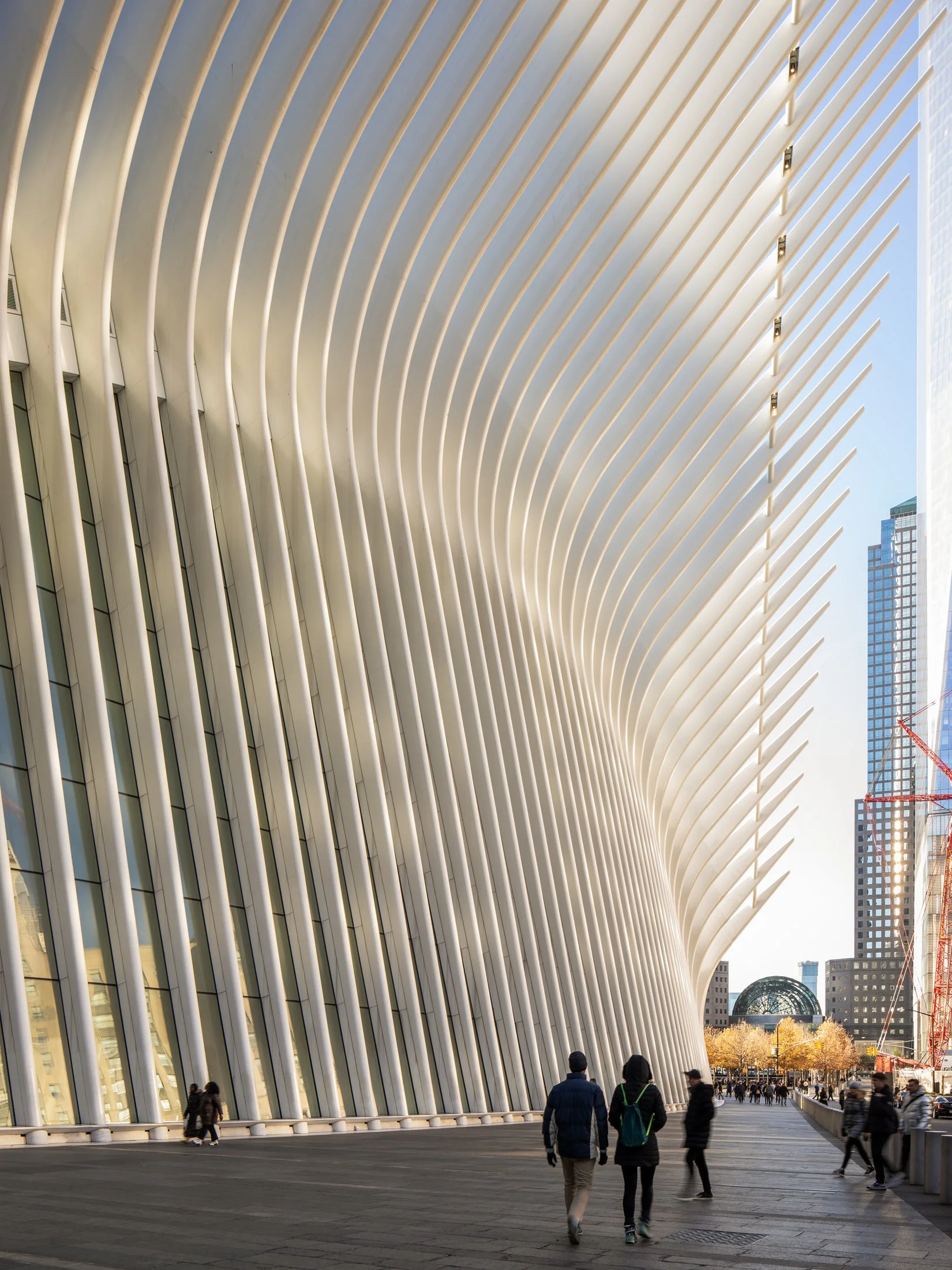 The Oculus_final-29.jpg