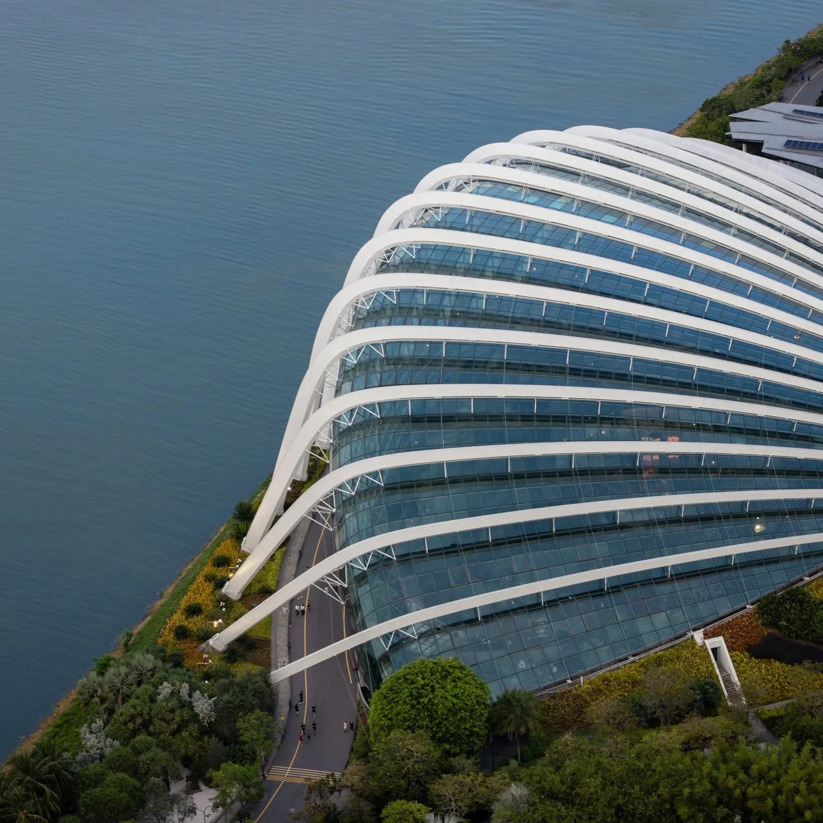 Gardens by the Bay | WilkinsonEyre + Grant Associates