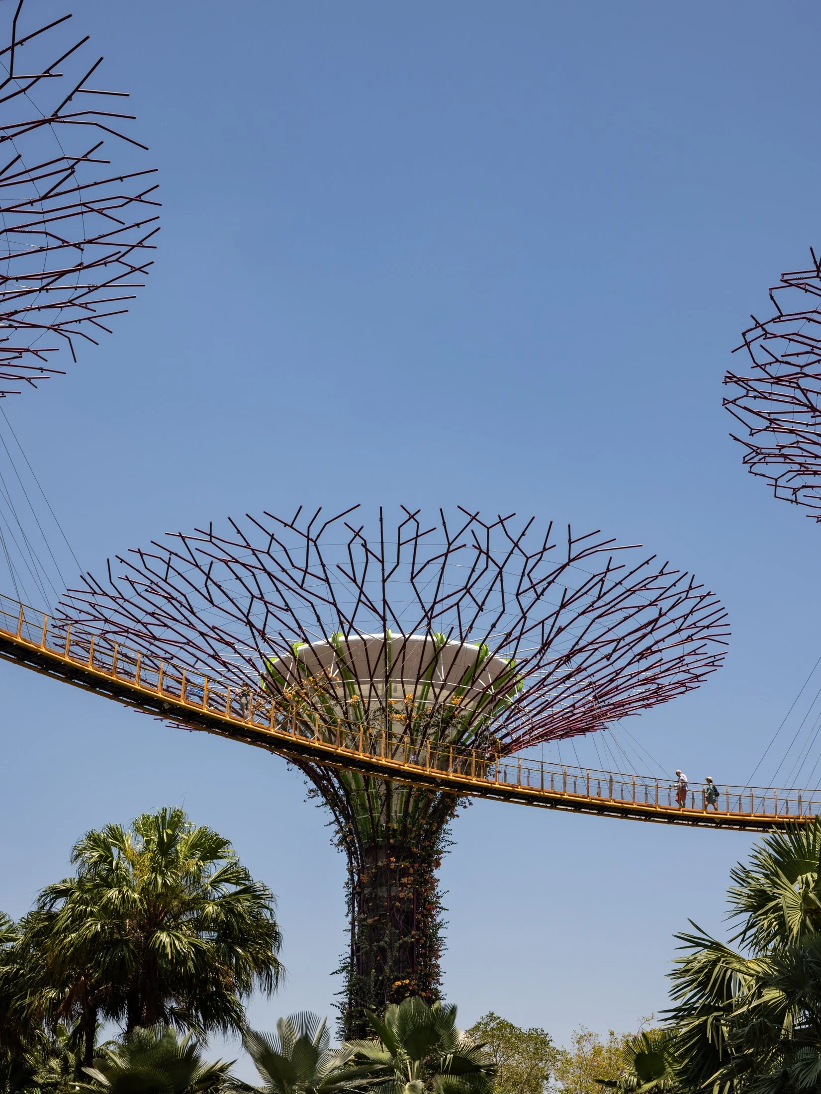 Gardens by the Bay-8.jpg