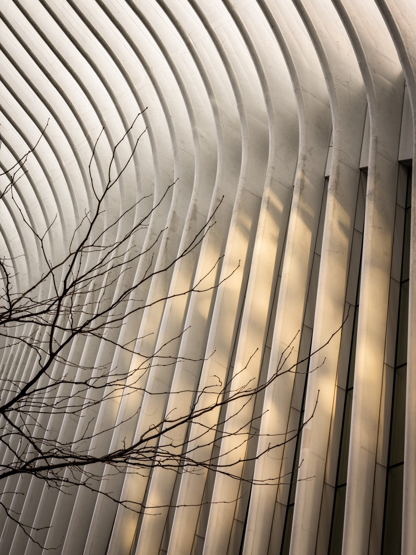 The Oculus_final-10.jpg
