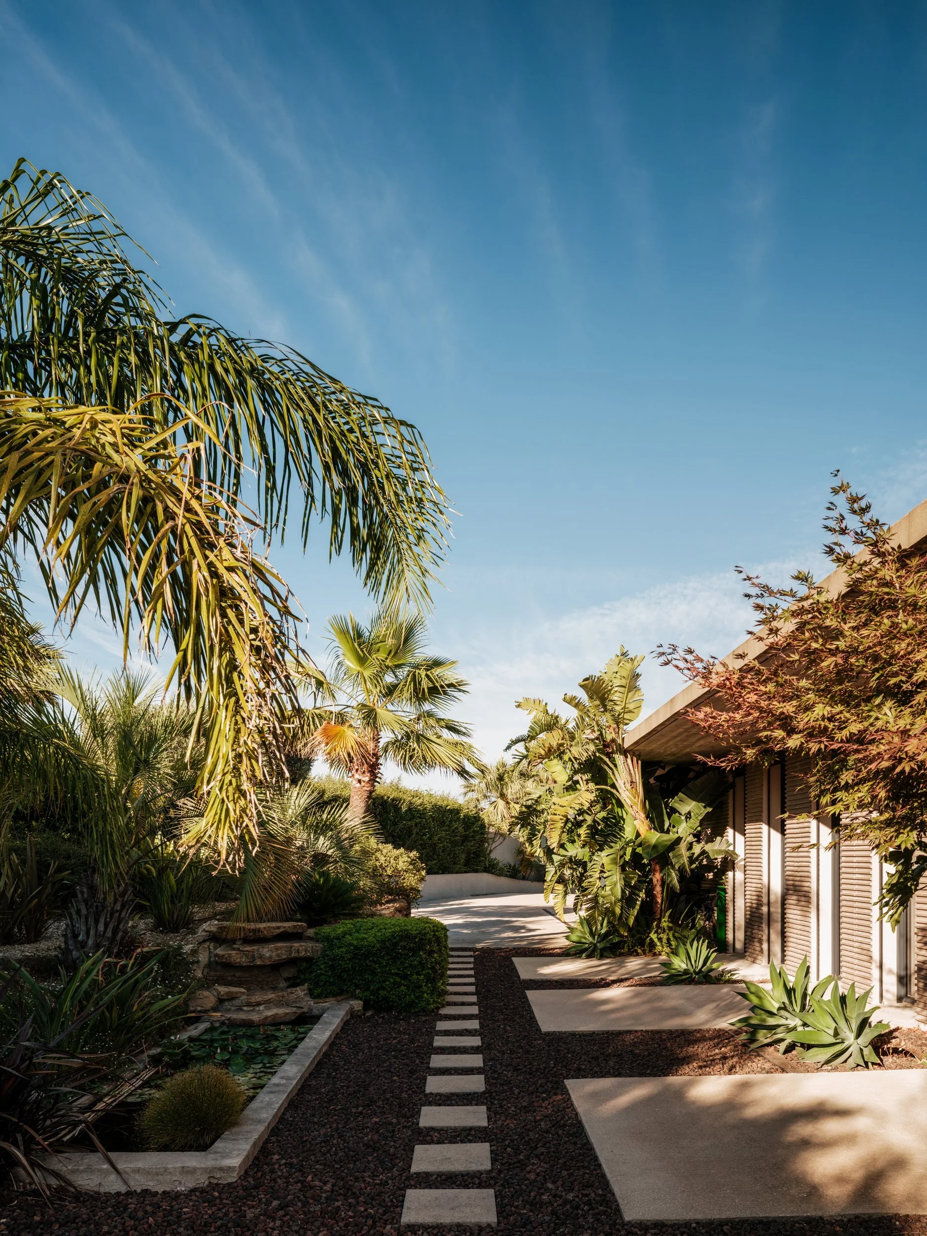 A lush backyard garden with palm trees, various green plants, a concrete pathway with stepping stones, and a modern house with shutters under a clear blue sky.