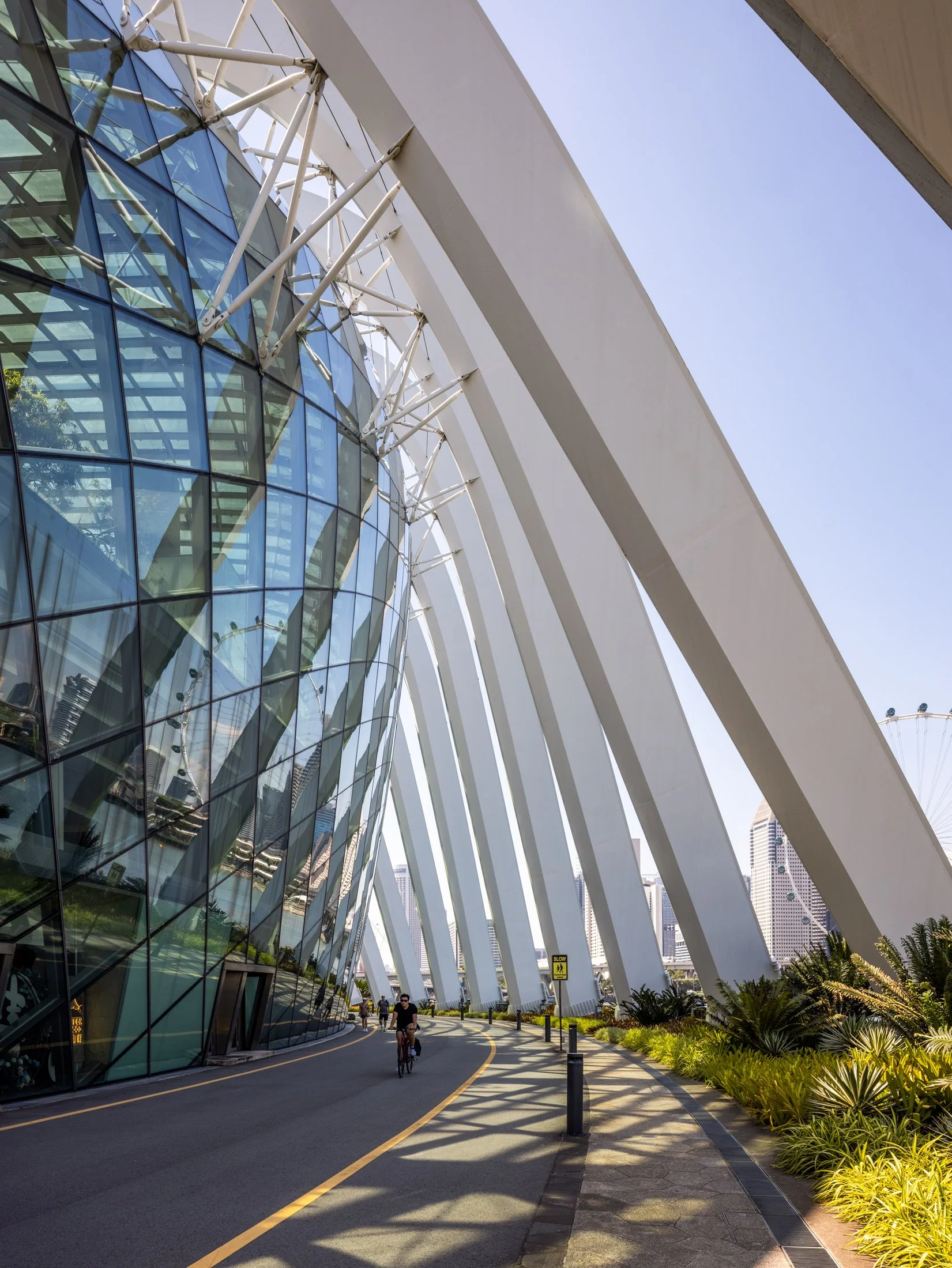Gardens by the Bay-24.jpg