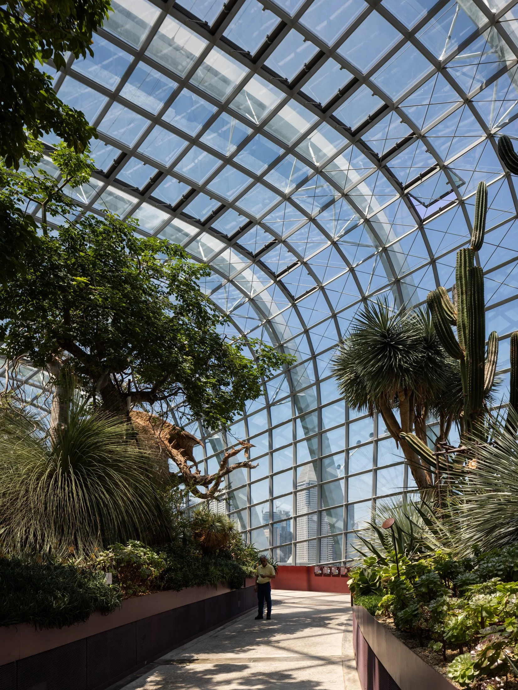 Gardens by the Bay-15.jpg