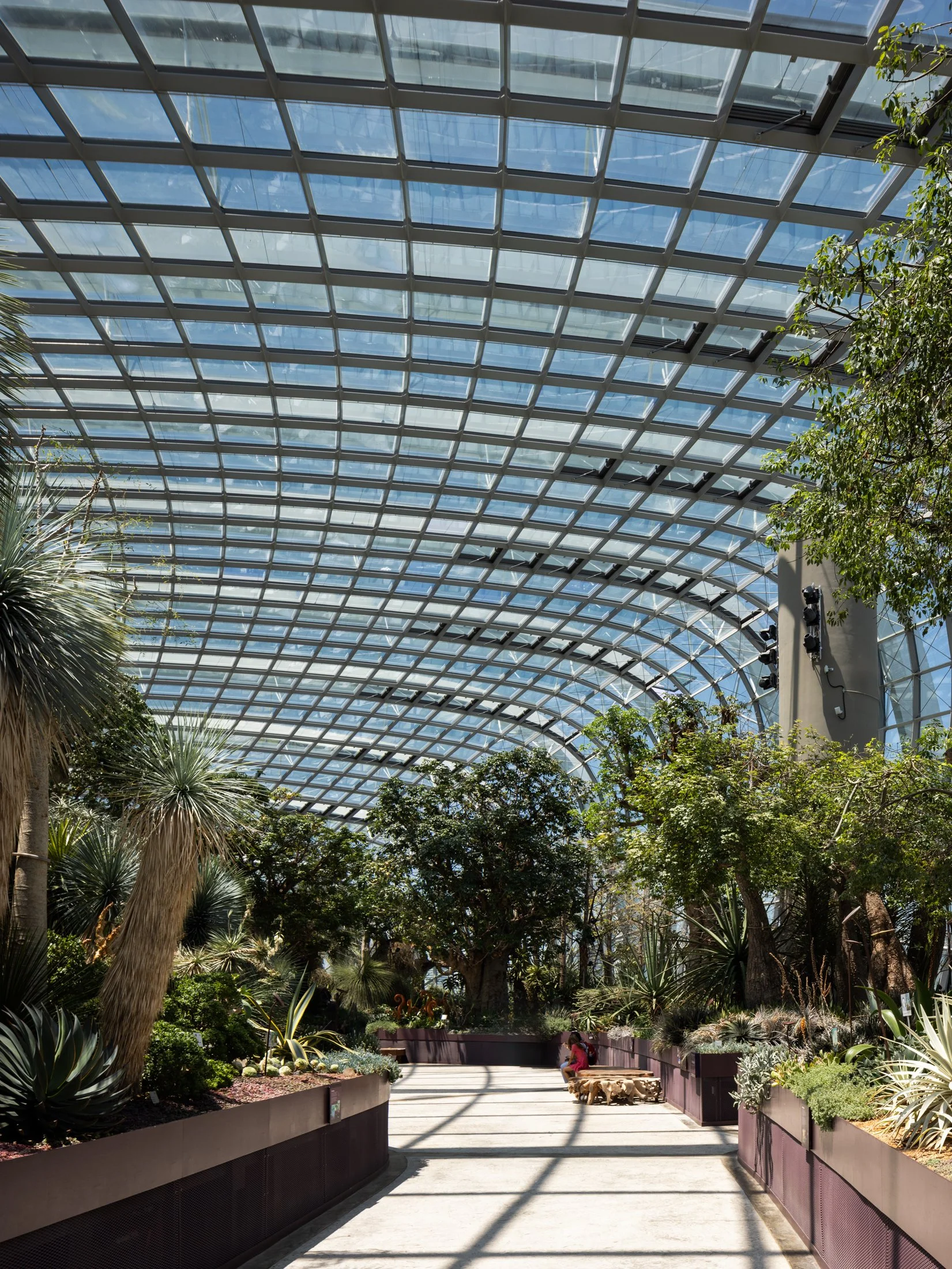Gardens by the Bay-13.jpg