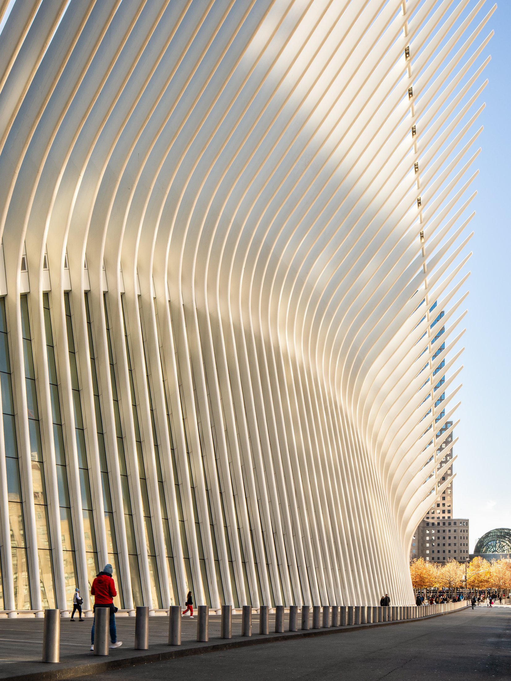 The Oculus_final-30.jpg