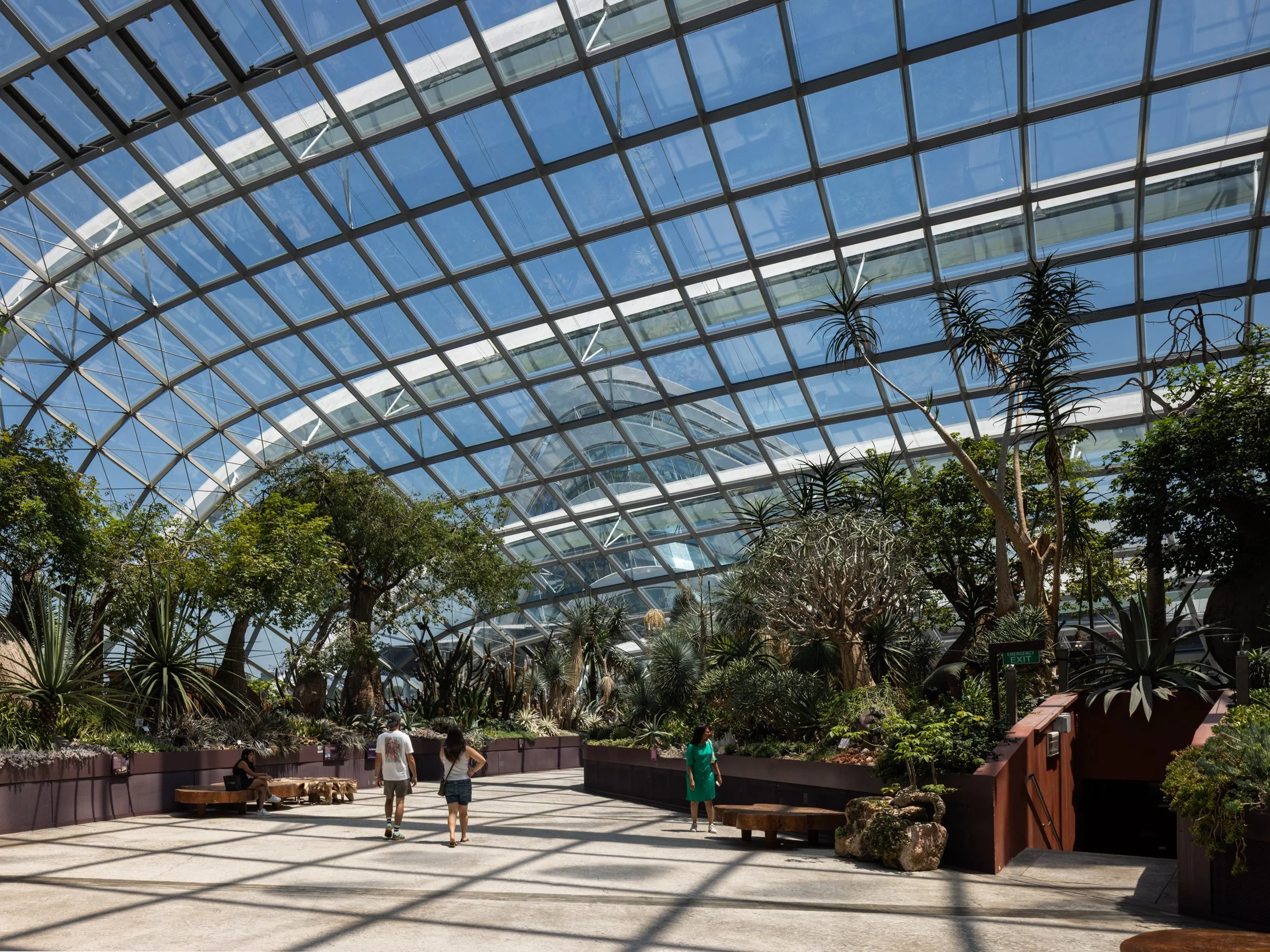 Gardens by the Bay-14.jpg