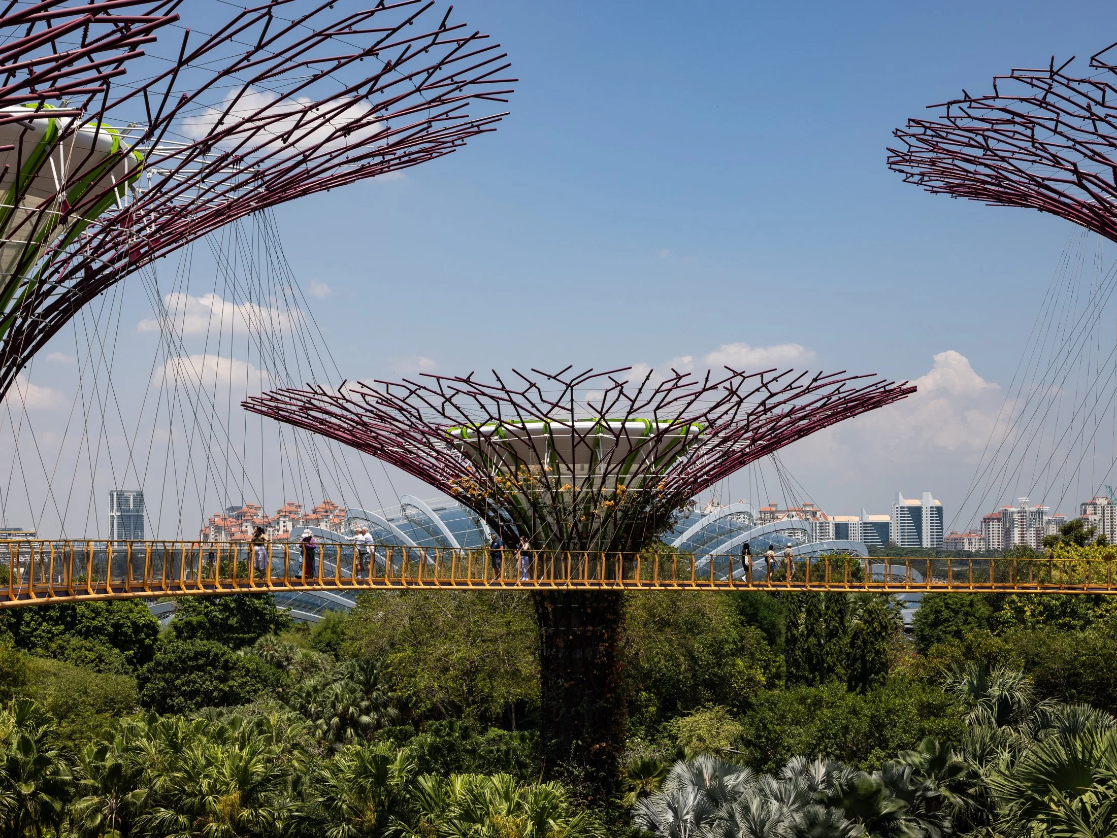 Gardens by the Bay-10.jpg