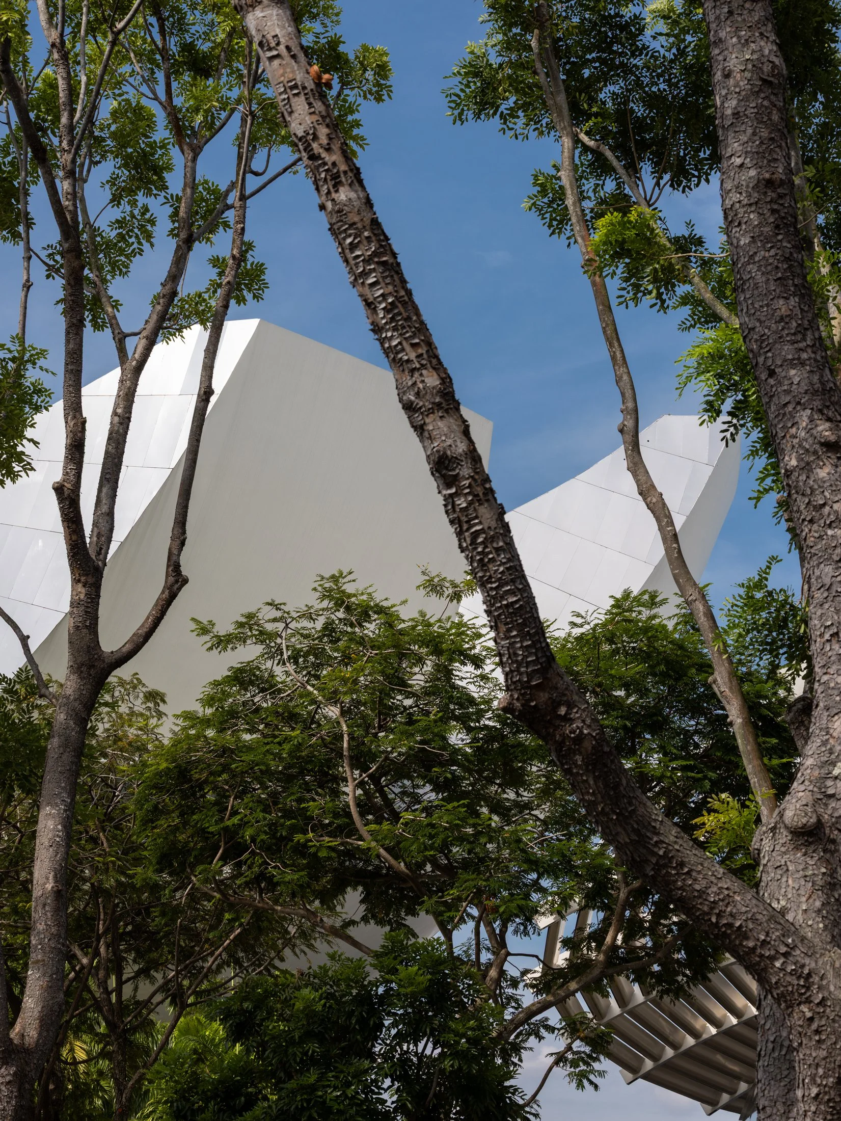 ArtScience Museum_5.jpg