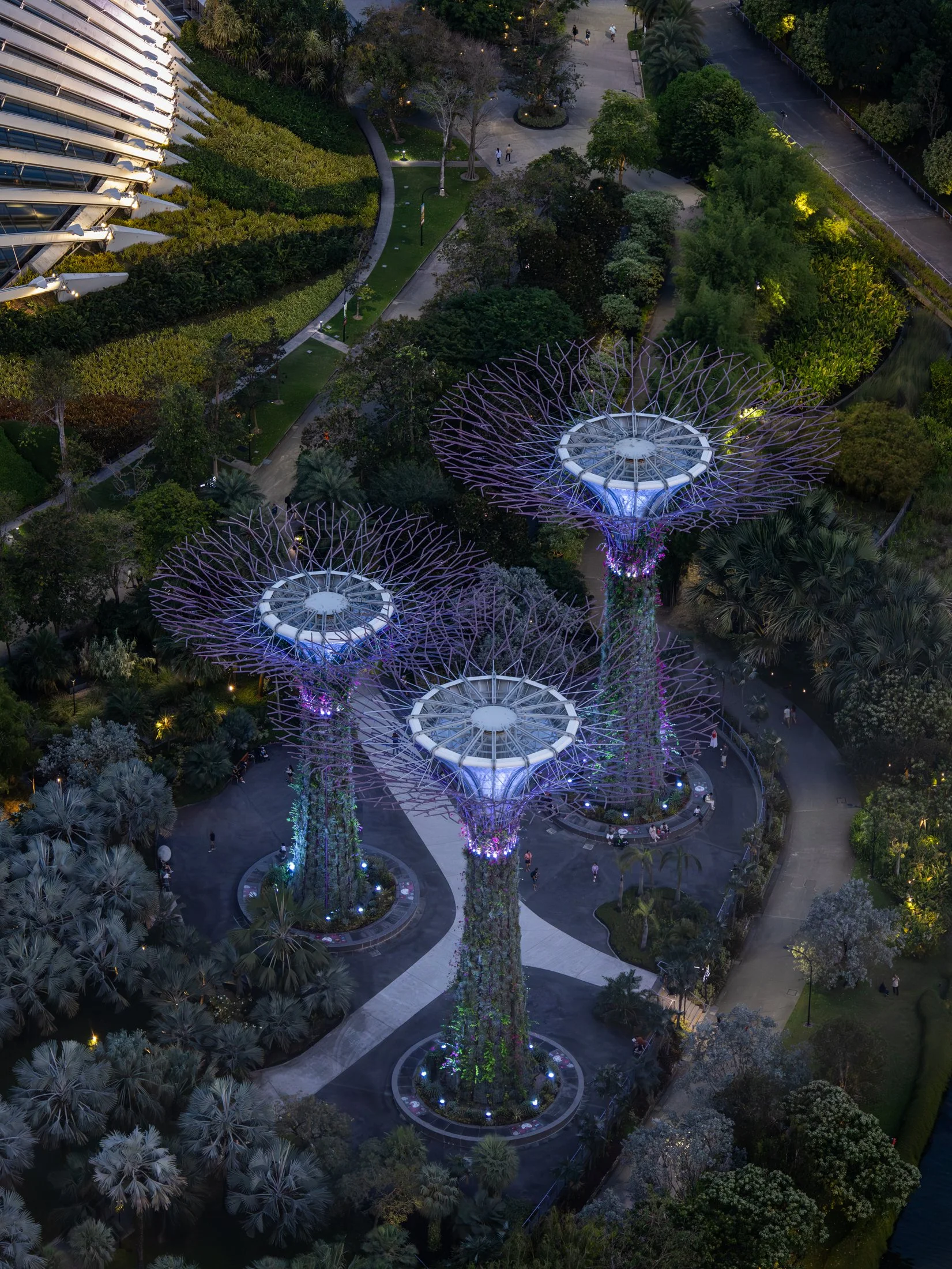 Gardens by the Bay-6.jpg