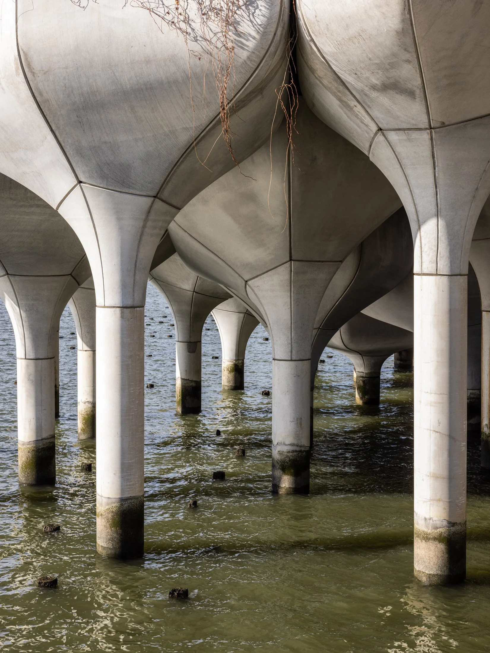 Little Island-20.jpg