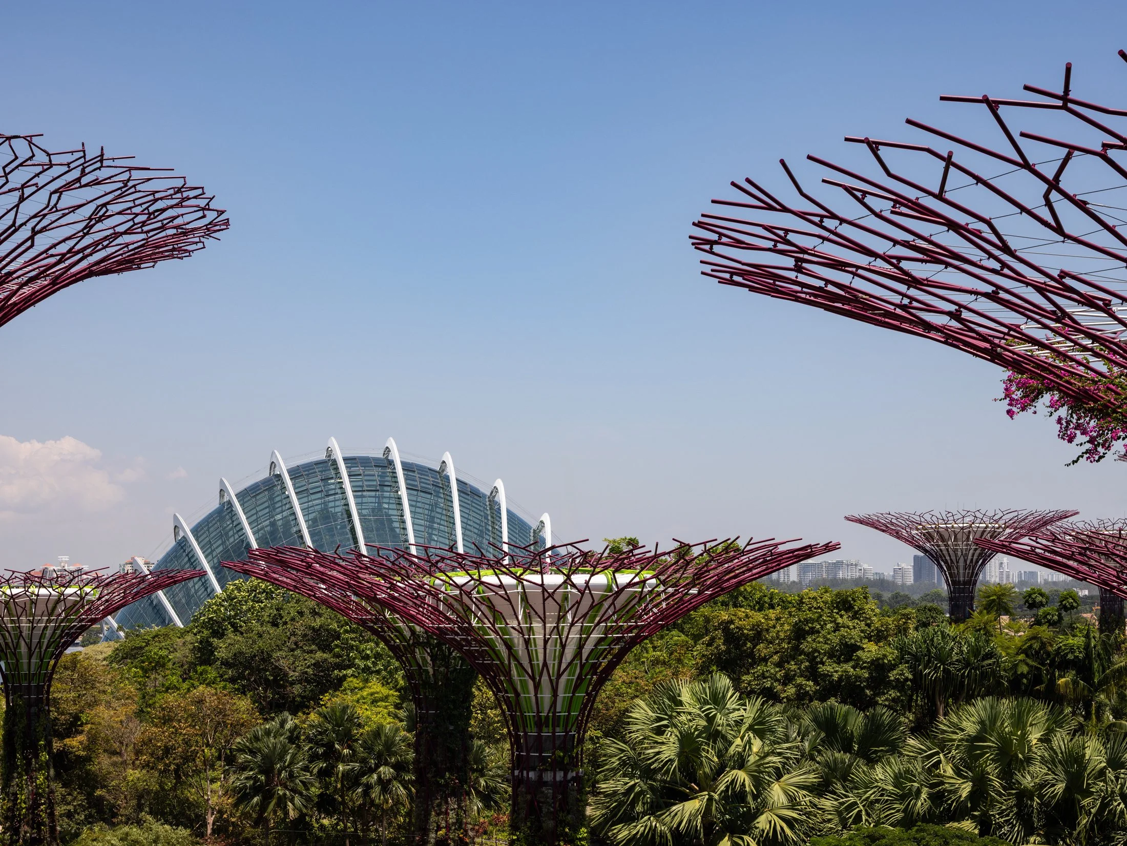Gardens by the Bay-11.jpg