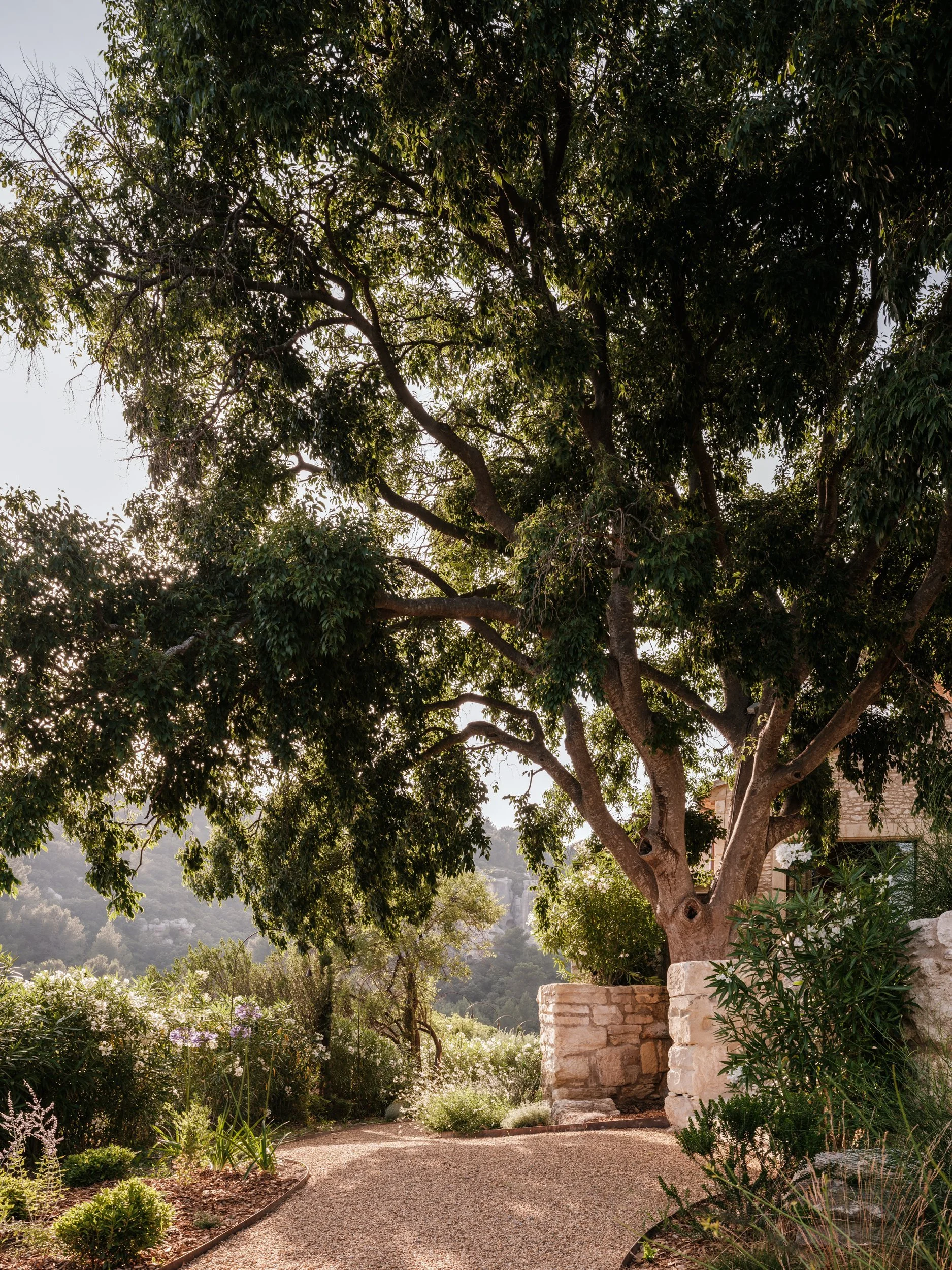 Mas de Calabrun15.jpg