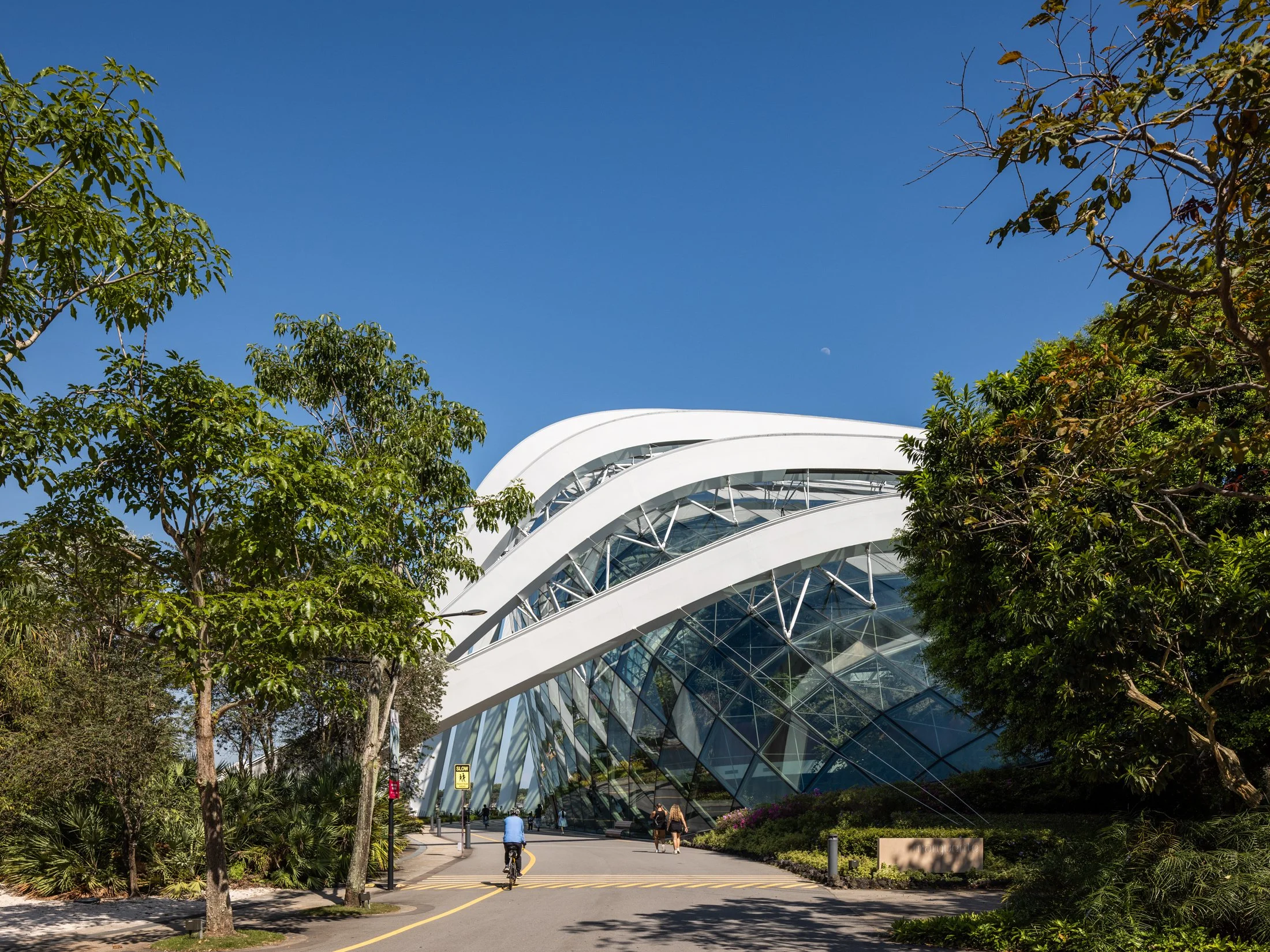 Gardens by the Bay-26.jpg