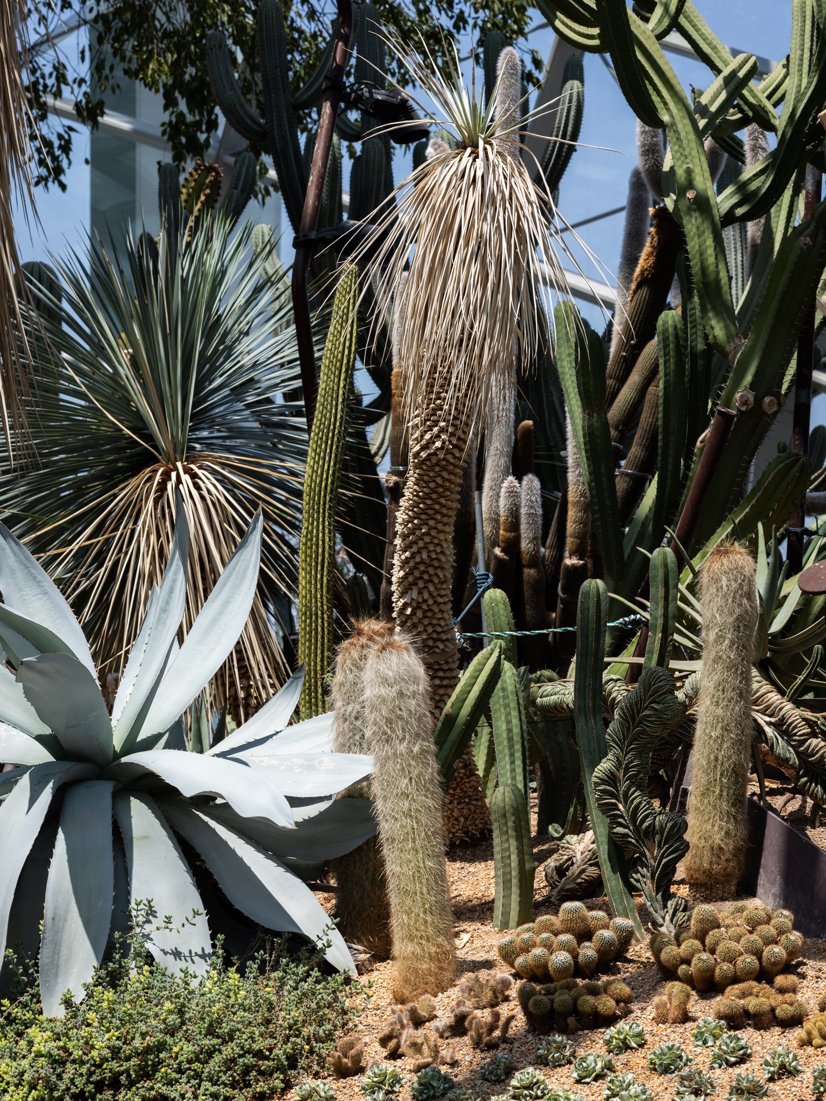 Gardens by the Bay-19.jpg