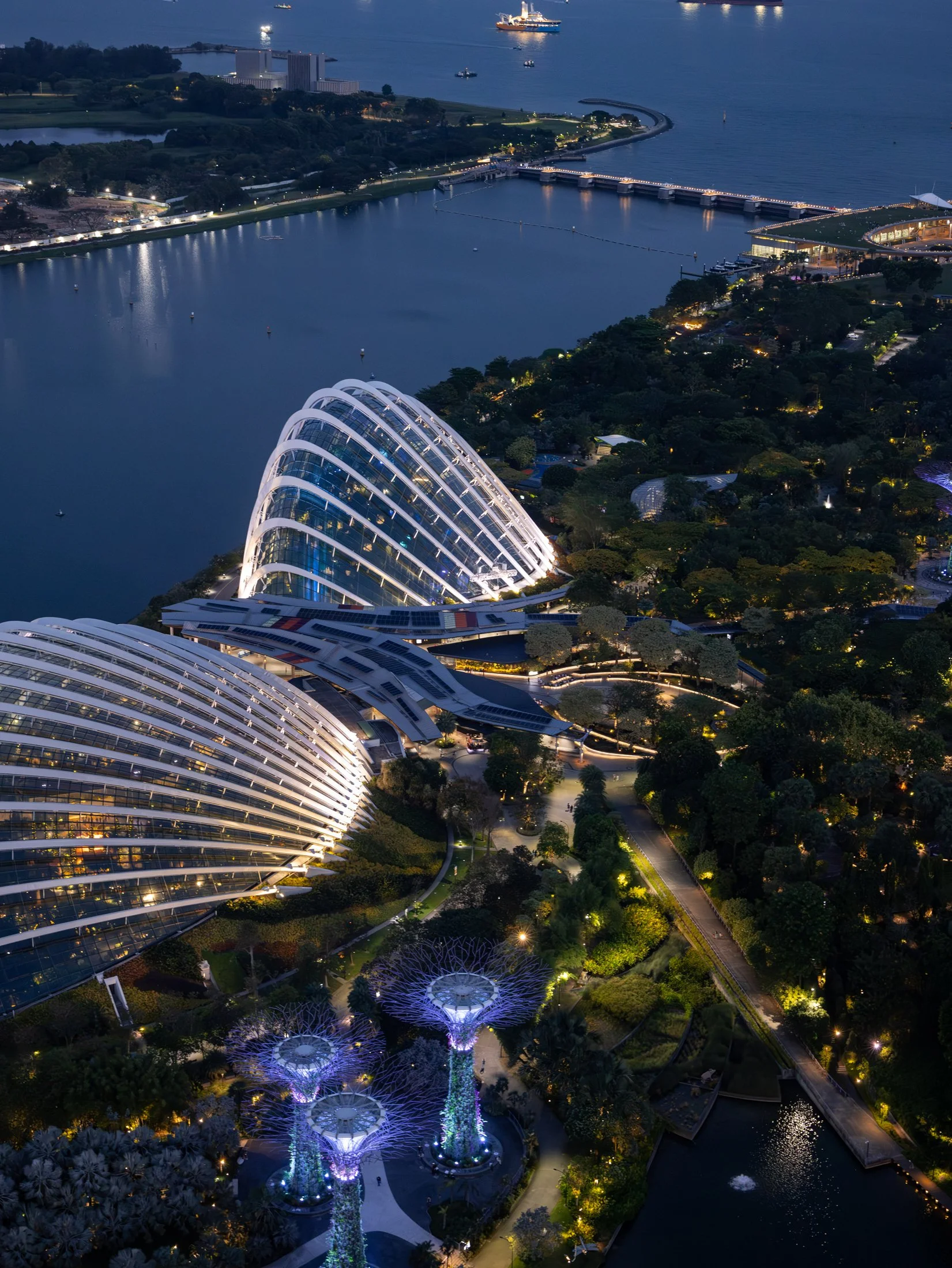 Gardens by the Bay-7.jpg