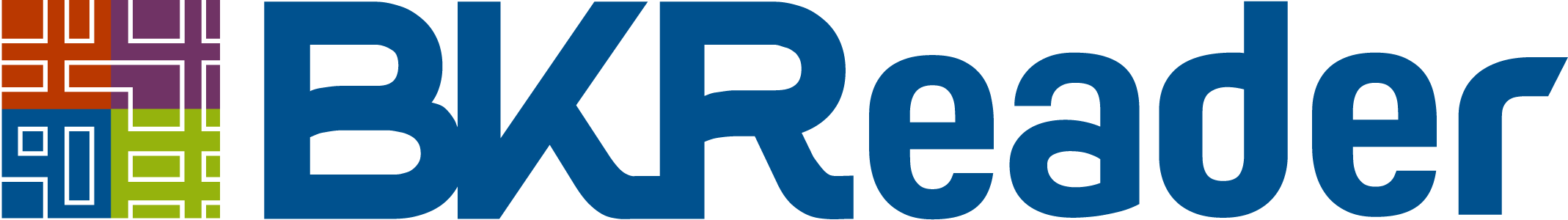 Logo with colorful geometric pattern on the left and the words "BKrRead" in bold blue letters on the right.