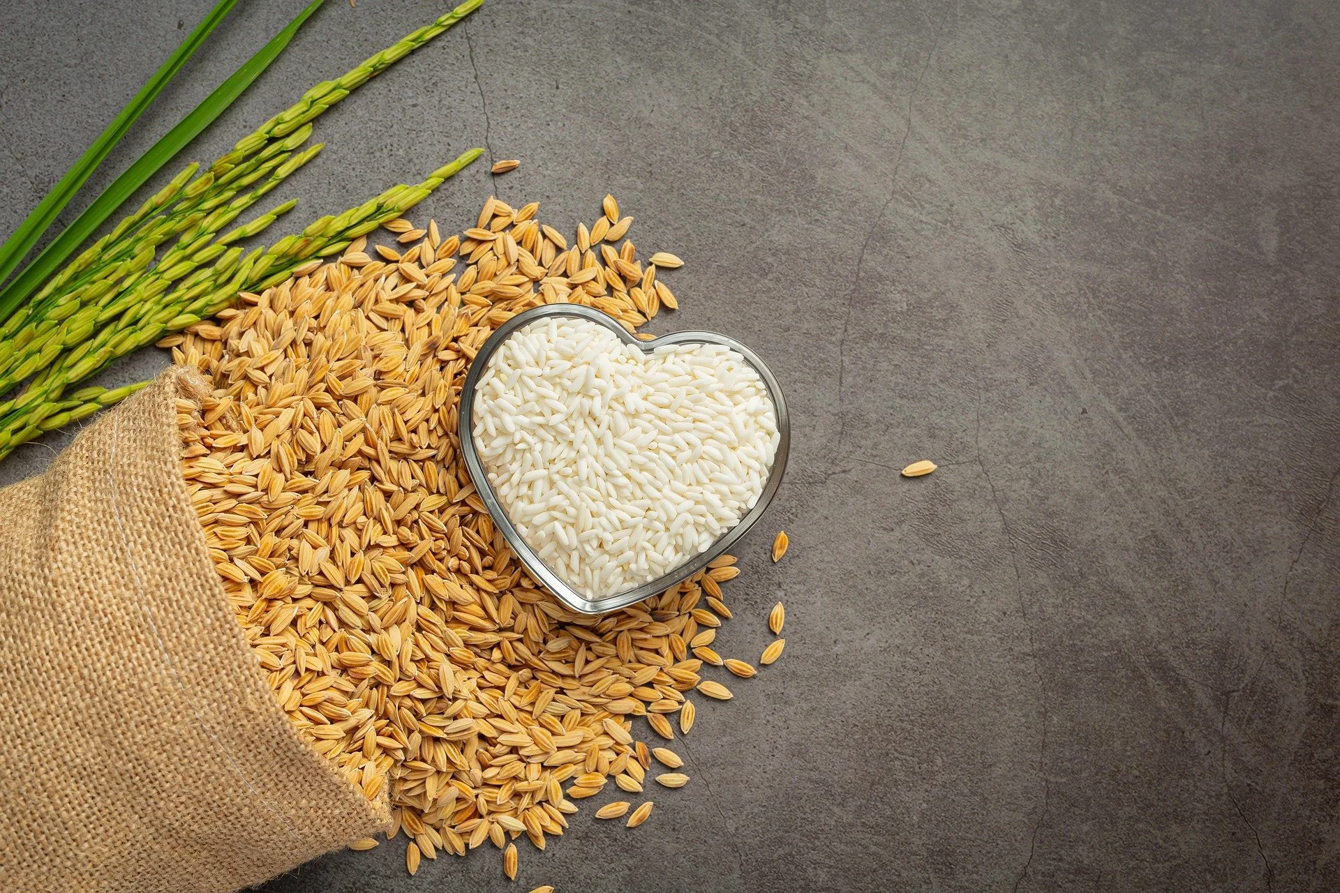 The Good Enough Wellbeing Plan