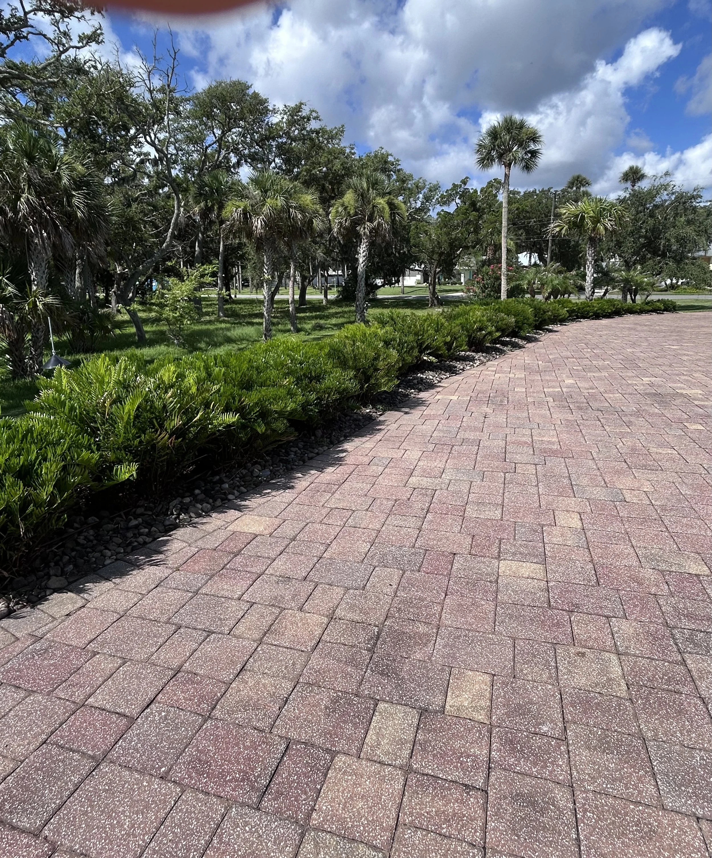 A brick pathway curves through a green landscape with palm trees and other foliage under a cloudy blue sky.