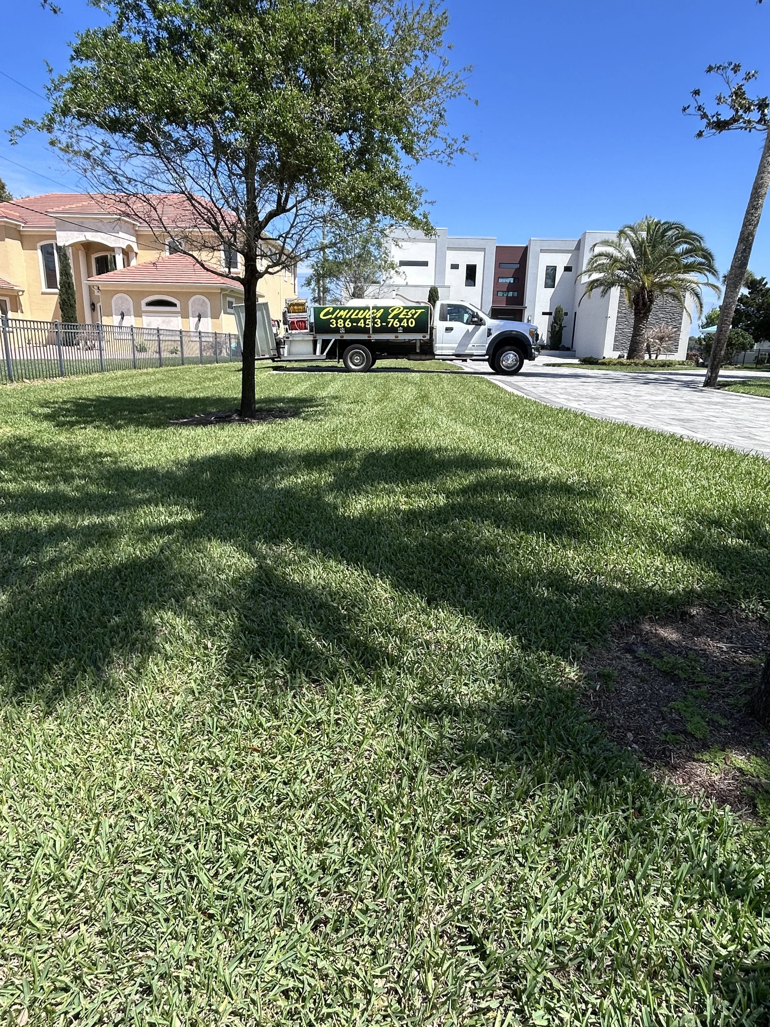 A lawn with a tree casting a shadow, a white utility truck parked on a driveway with signage reading 'Cimiluca Pest' and a phone number, residential houses, and a clear blue sky.