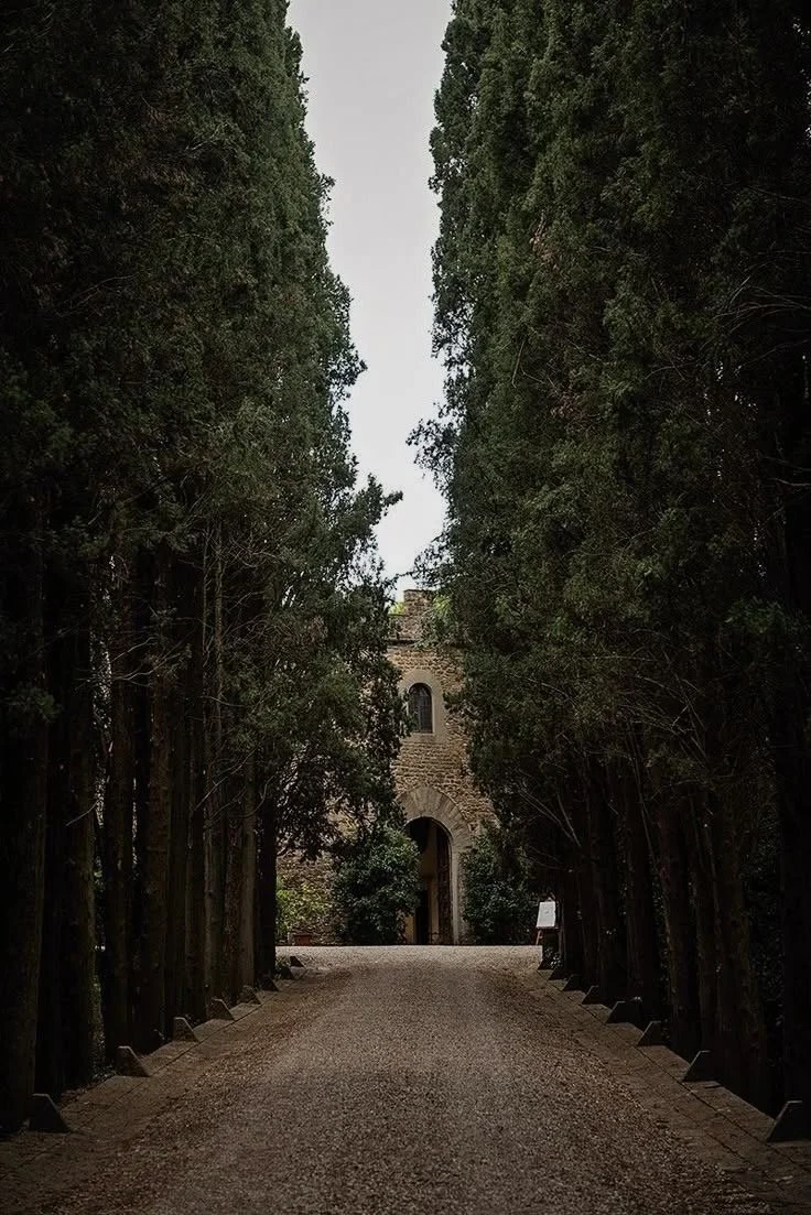 A cobblestone pathway lined with tall, dense green trees leading to a stone building with an arched entrance.