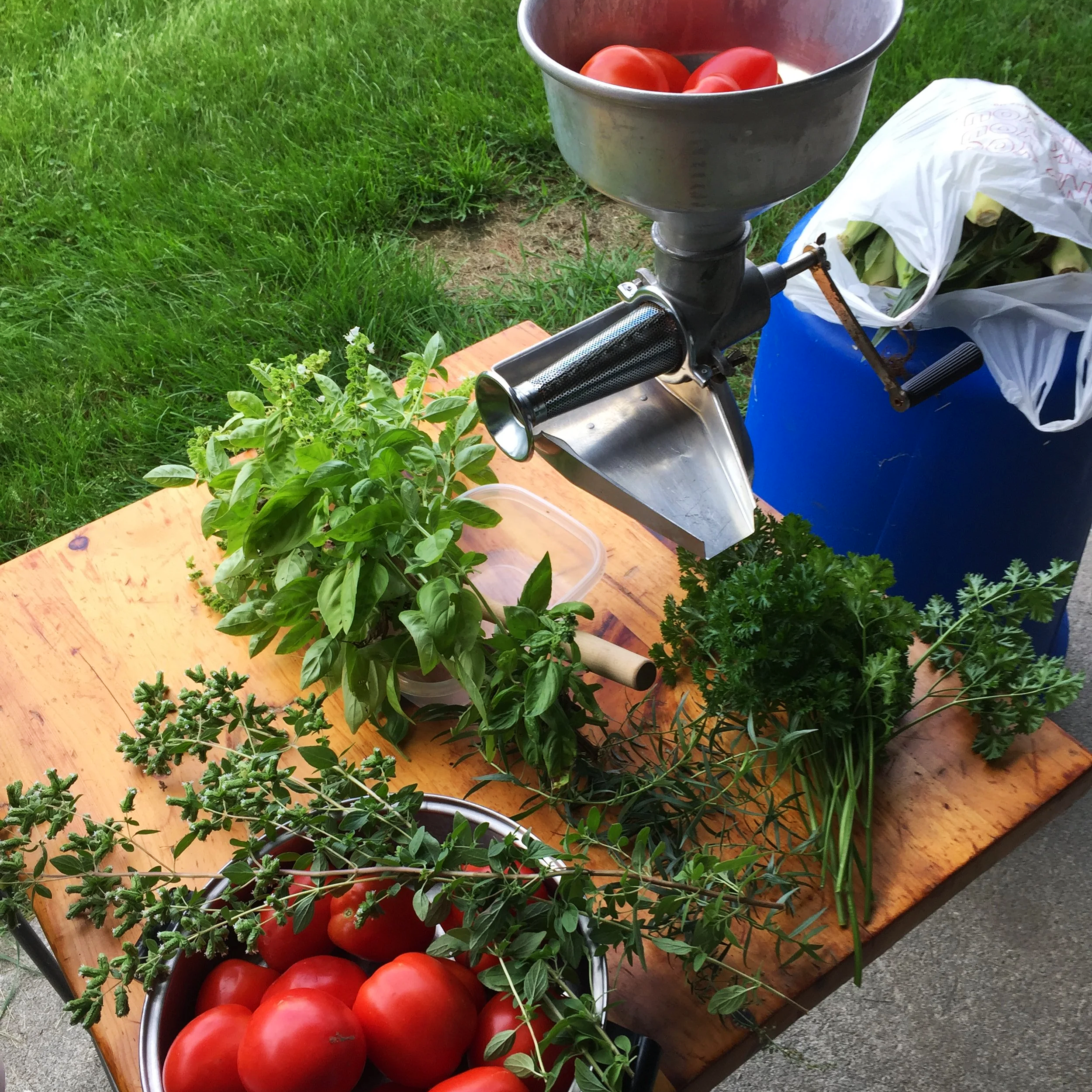 Lunch and Dinner