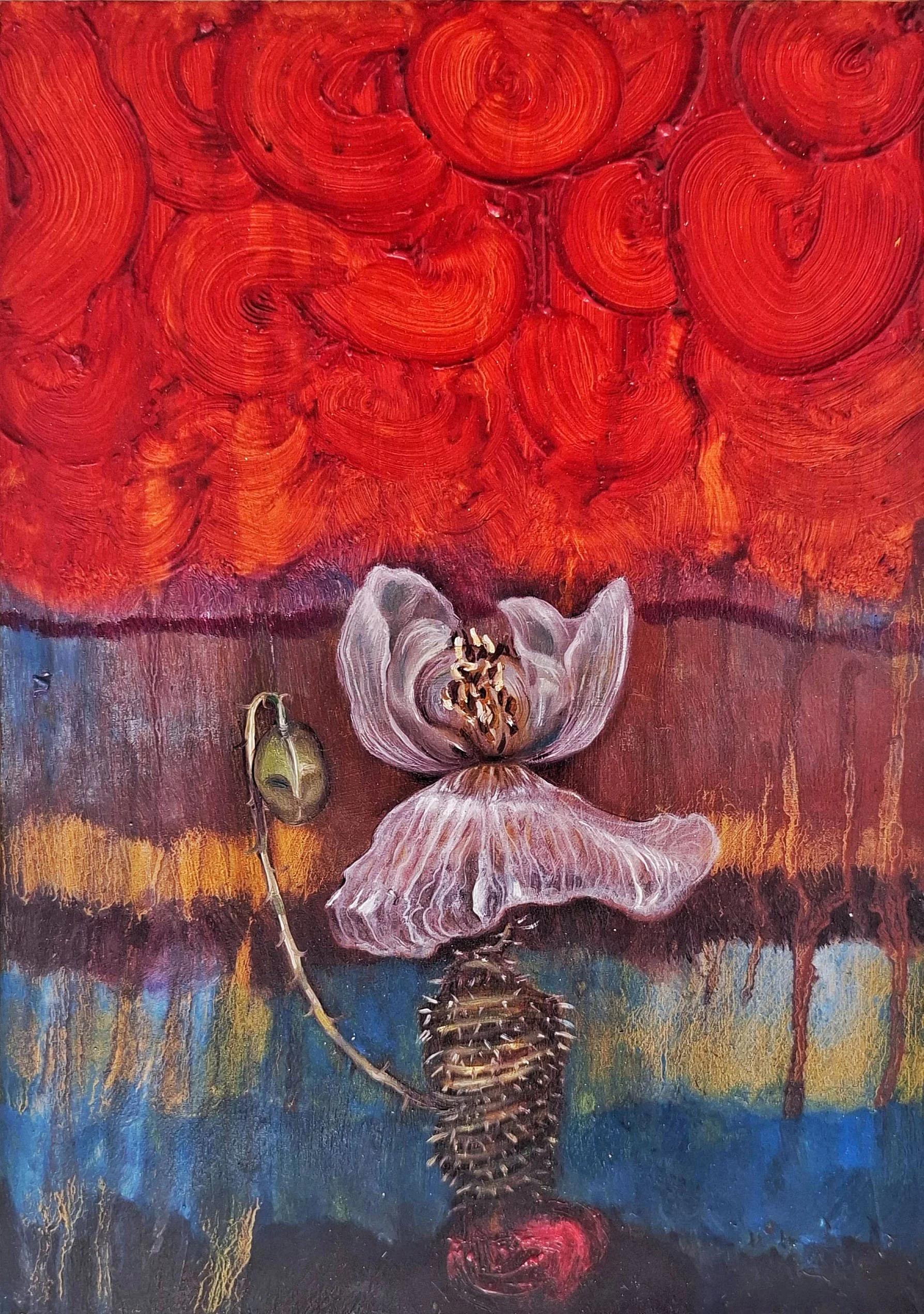 Poppy