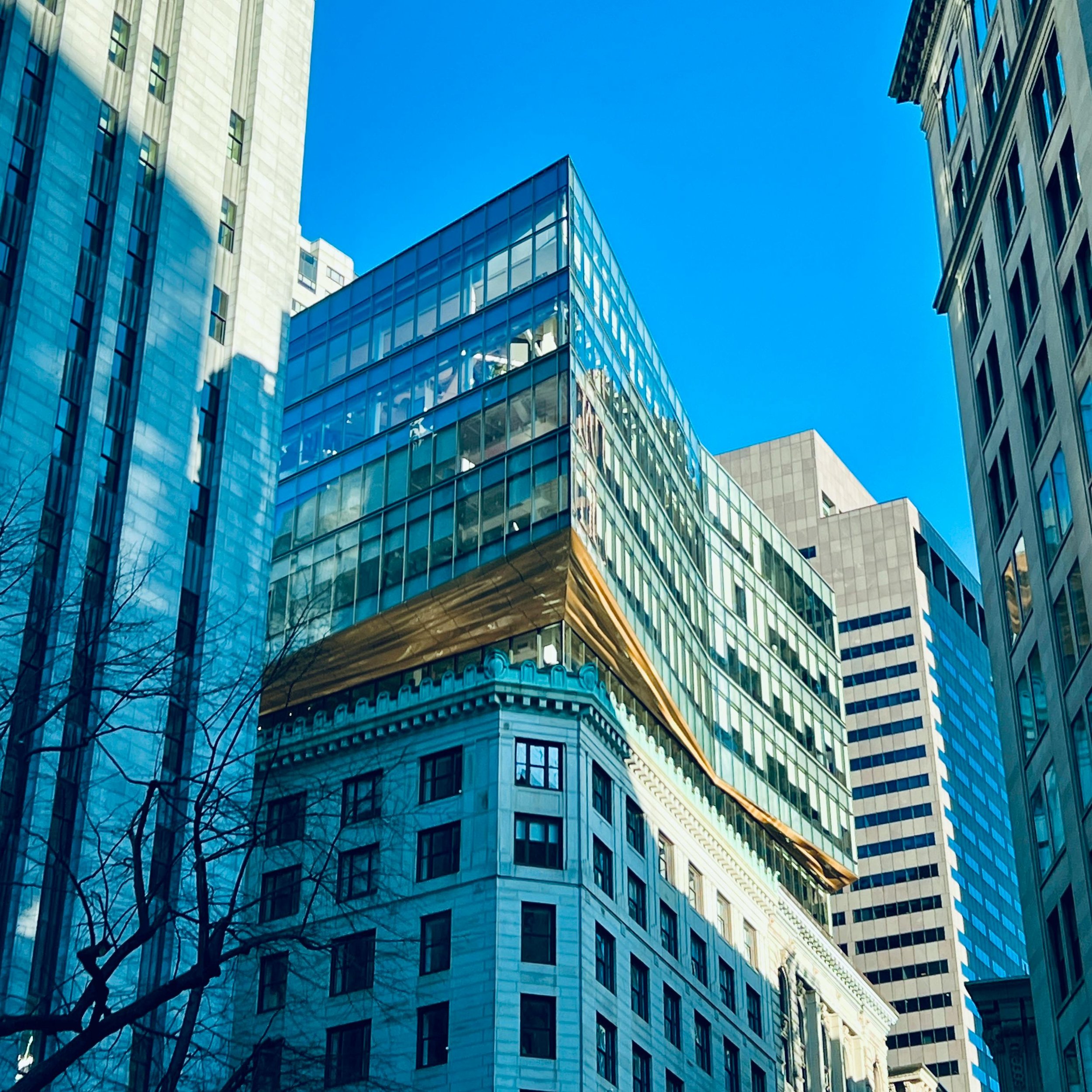 Tall modern glass and concrete skyscrapers with a clear blue sky behind and leafless tree branches in the foreground.