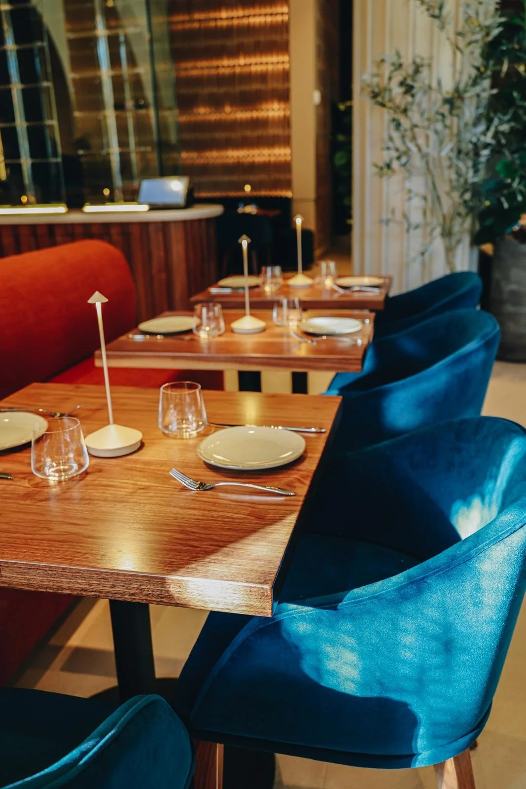 WhatsApp Image 2026-01-31 at 1.23.10 PM.jpeg