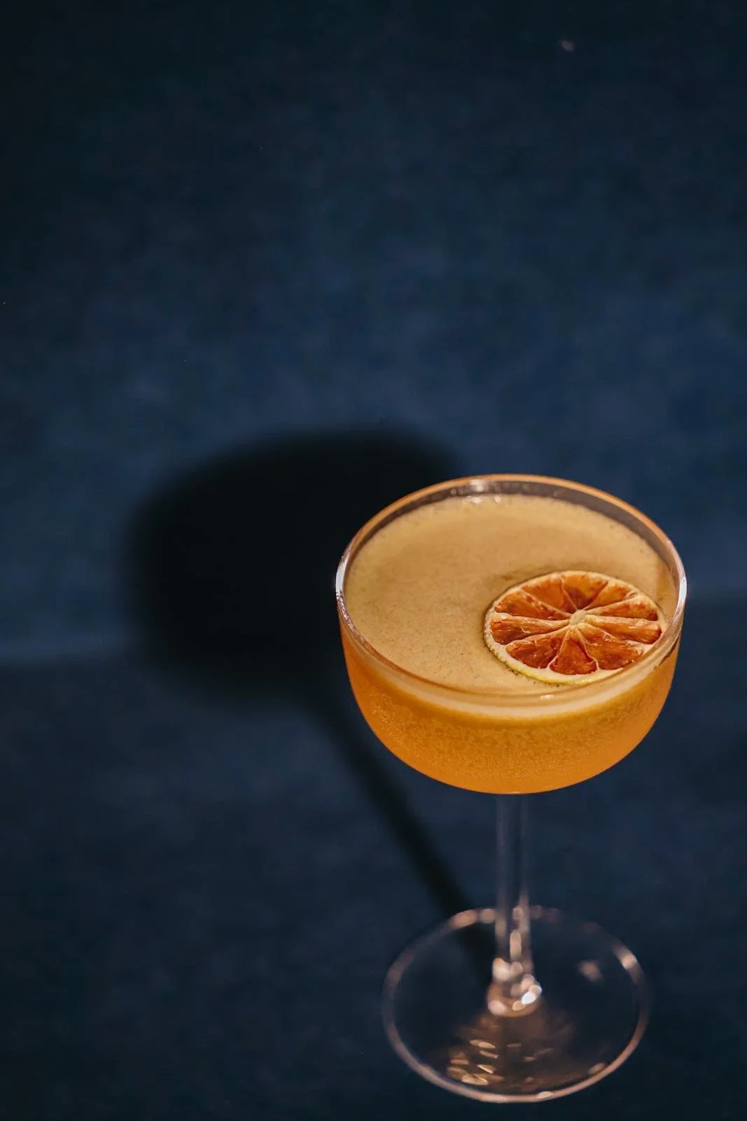 WhatsApp Image 2026-01-31 at 1.27.13 PM.jpeg