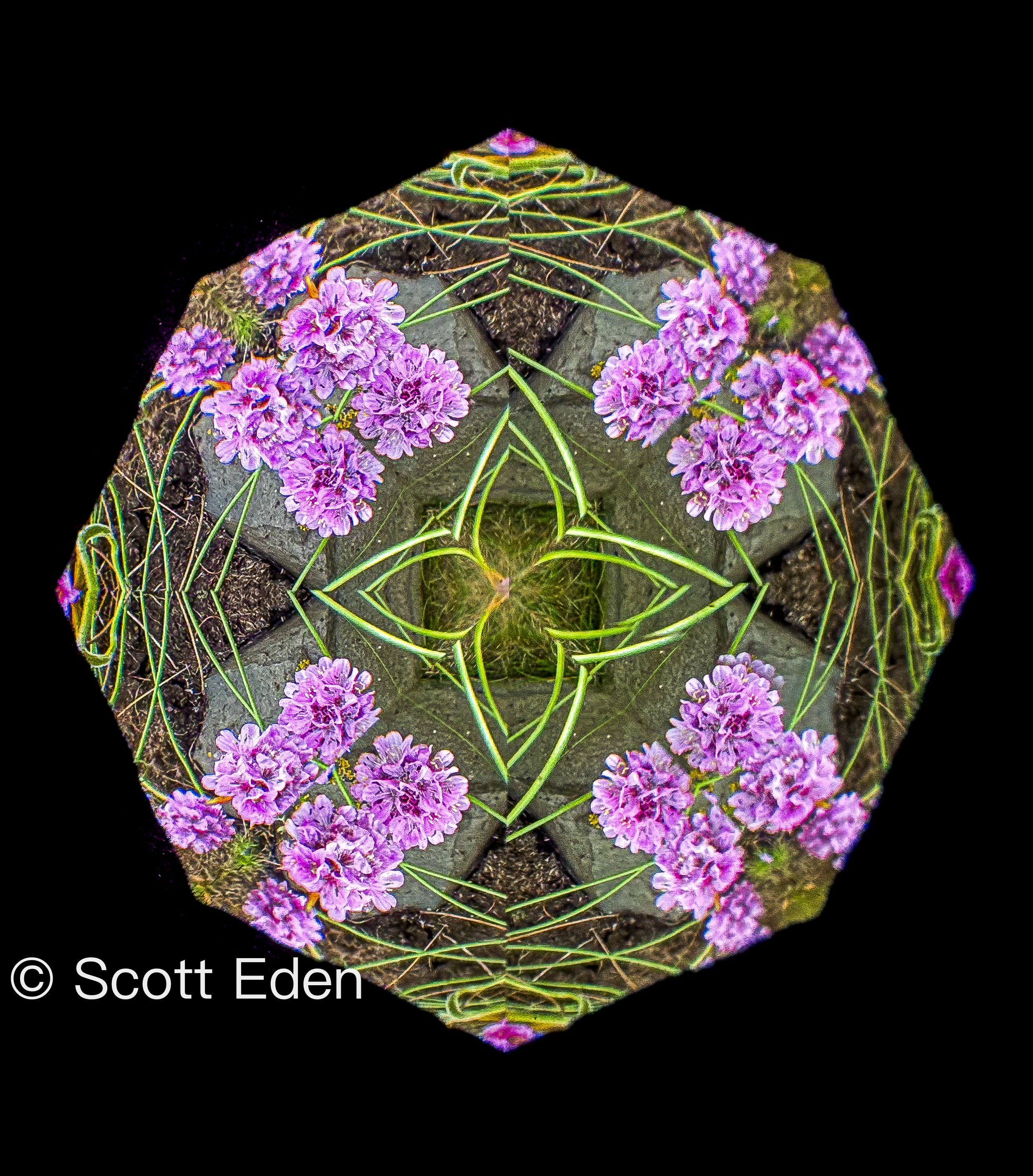 Sea Thrift with Celtic Cross #1 with WM.png