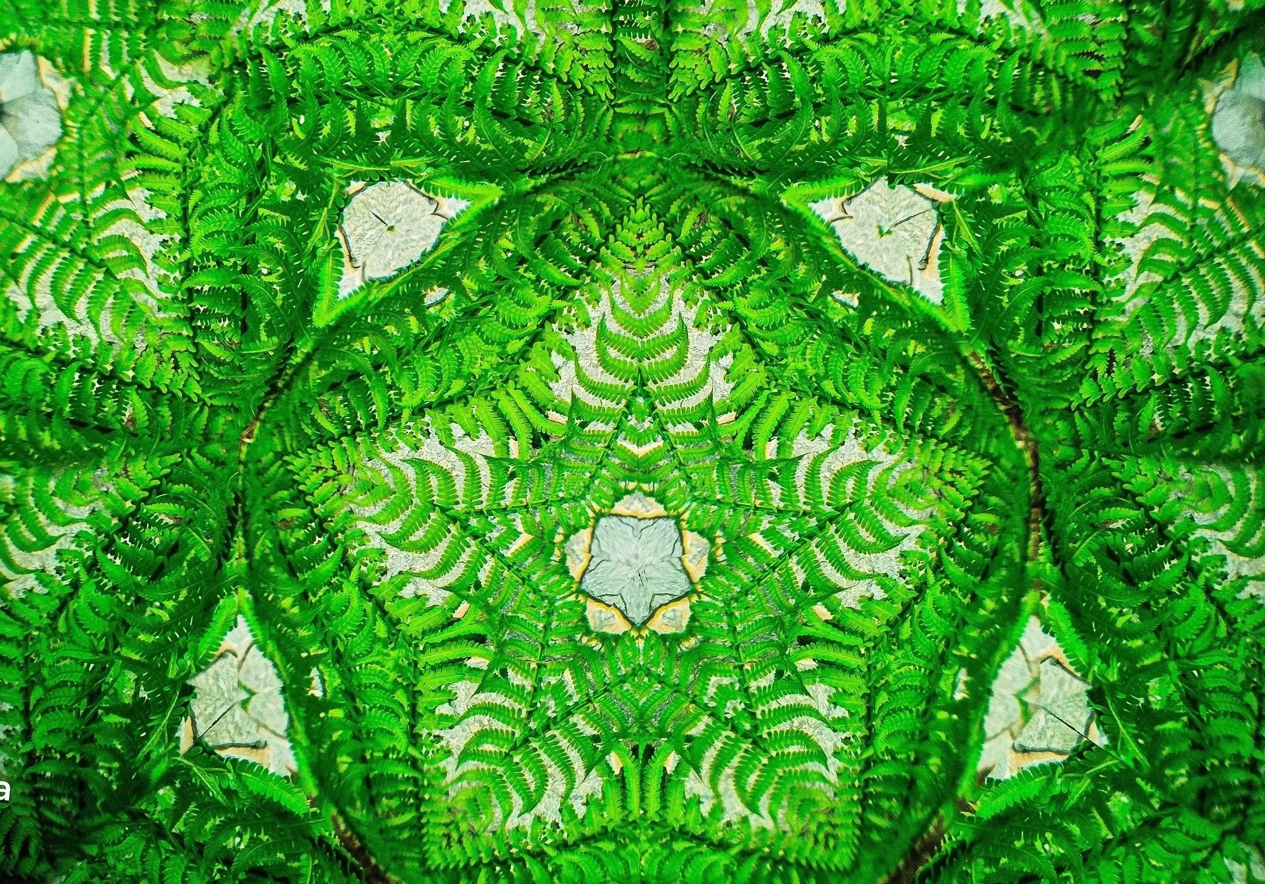 A symmetrical, kaleidoscope pattern of green fern leaves with a central star-shaped white area.
