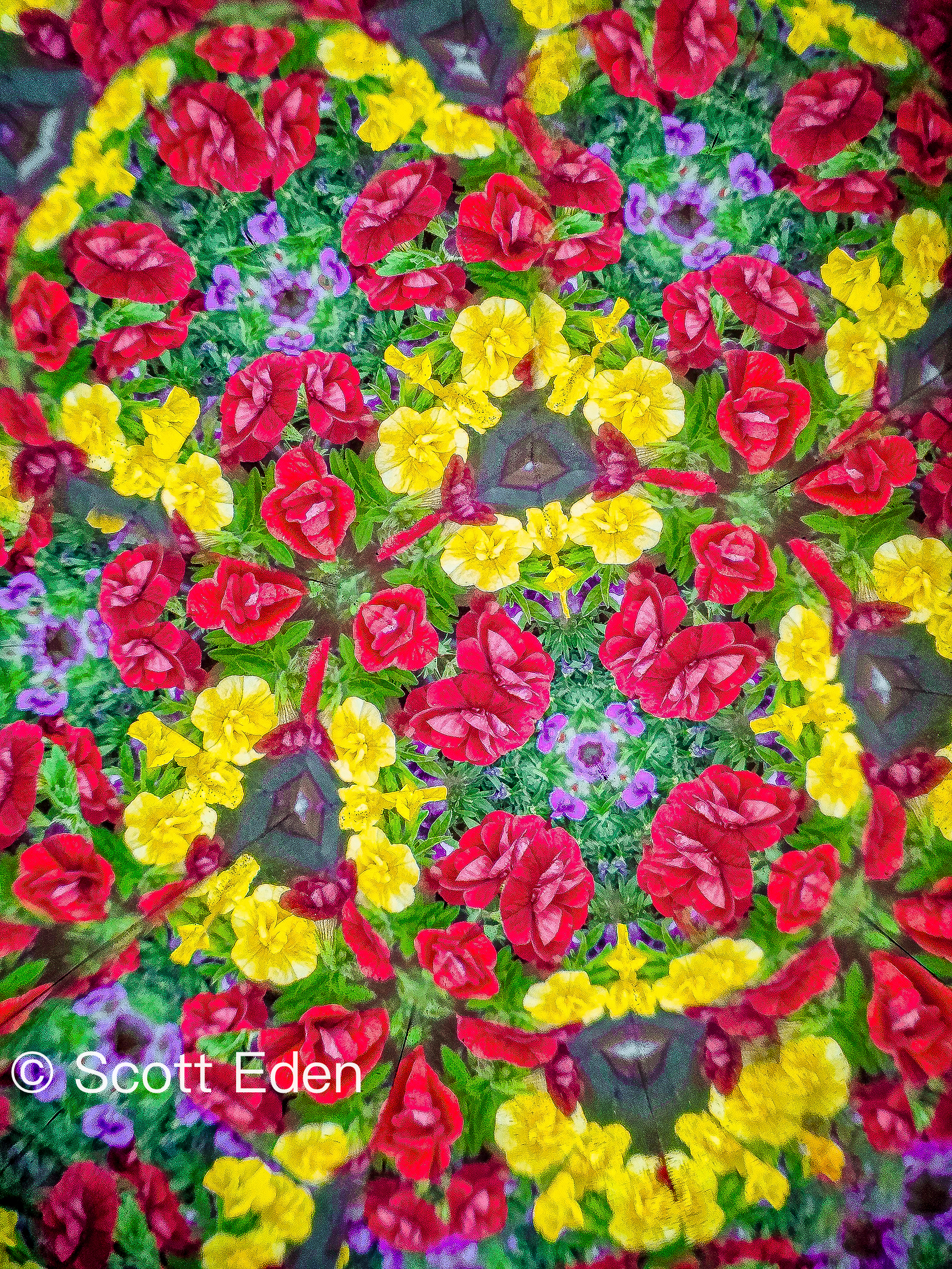 Swiss Flower Box #1