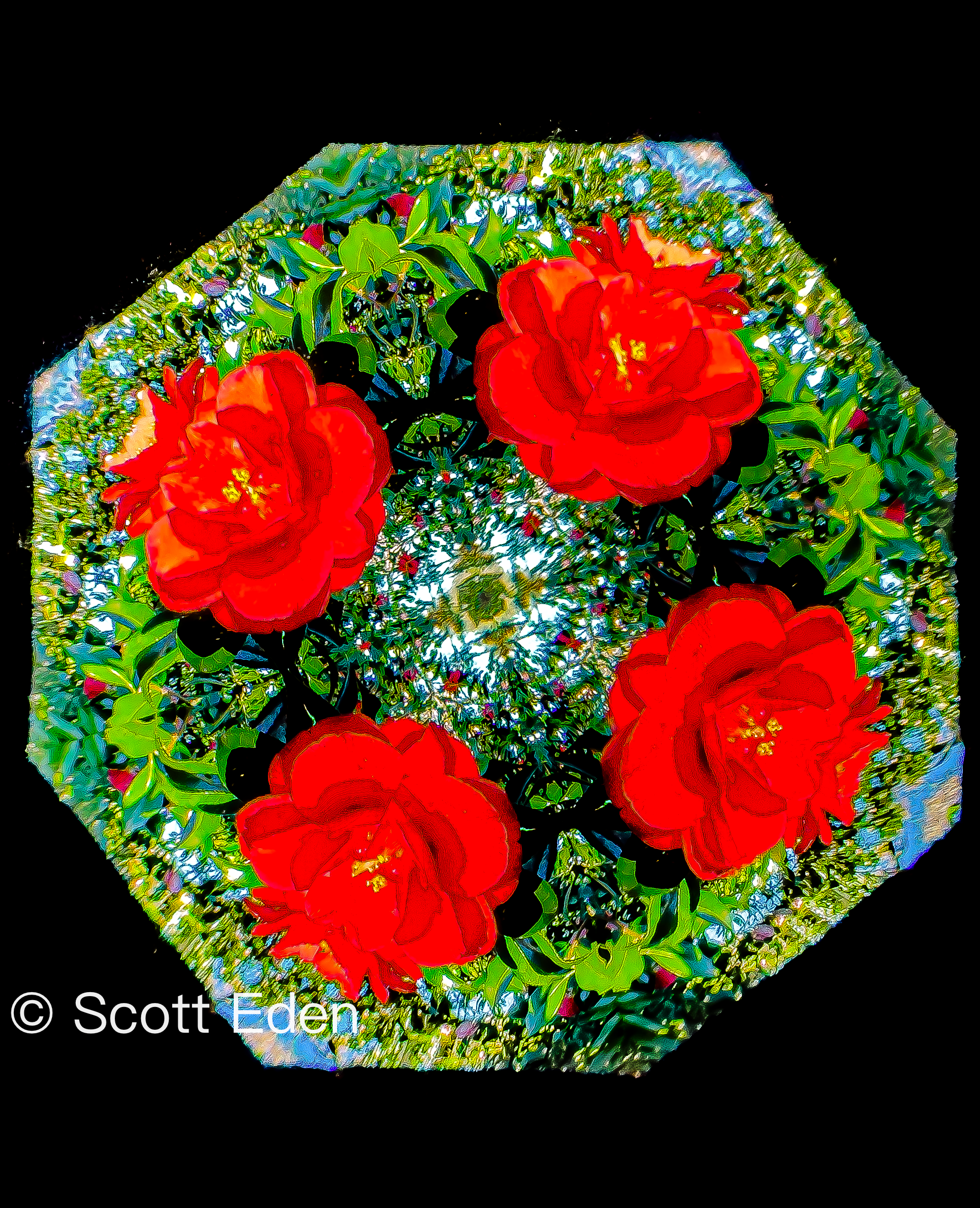 Camellia #1