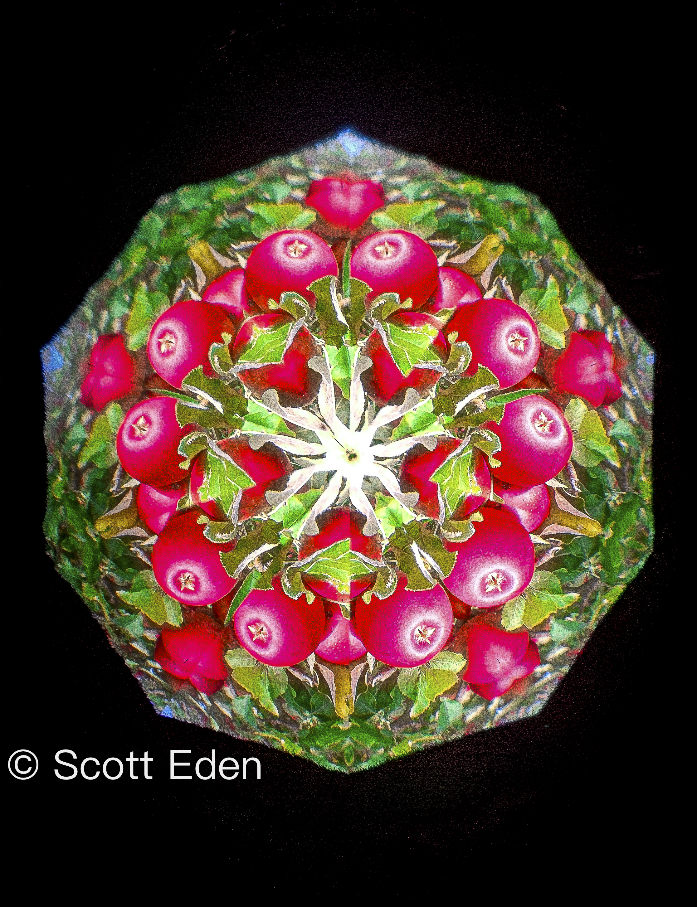 Red Apples Medallion