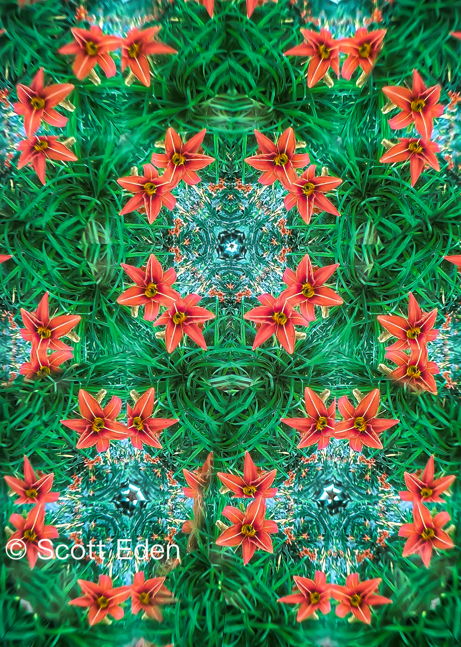 Tiger Lillies 2023
