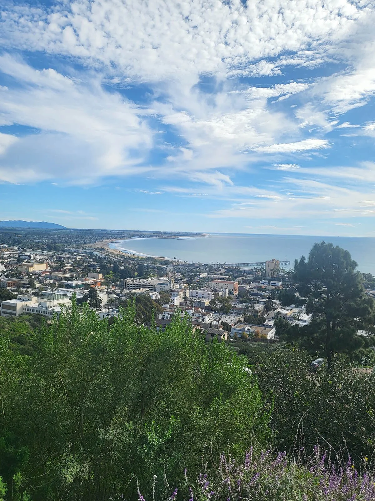 A scenic view of a coastal city with a beach, a pier, and the ocean in the distance, surrounded by greenery and under a partly cloudy sky.