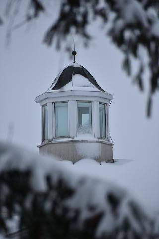 image (2) - Copy.png