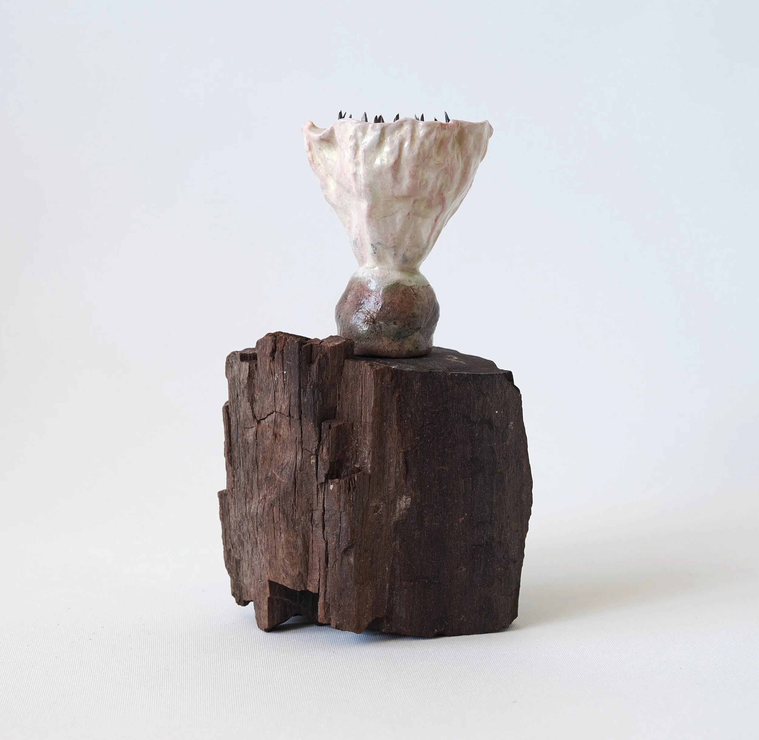 Petrified Lotus