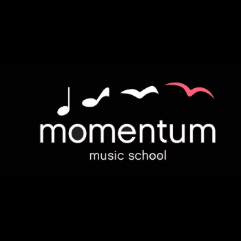 Violin Workshop