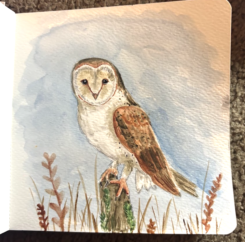 Screenshot 2025-12-31 at 11.25.31 PM.png