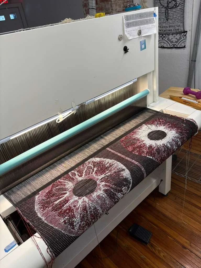 PHOTO-2026-02-02-21-23-43 3.jpg