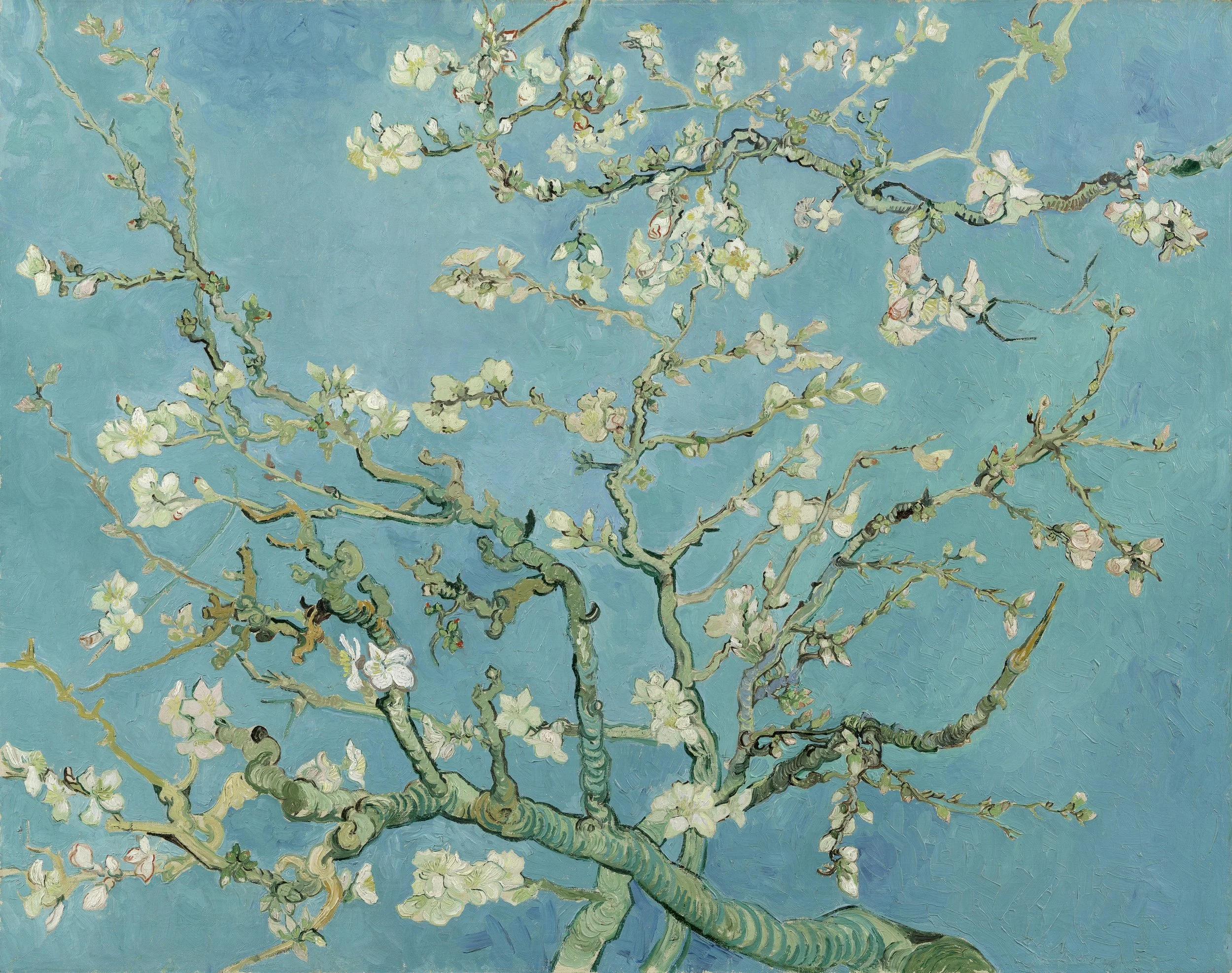 A painting of a flowering tree with delicate white blossoms on twisting branches, set against a bright blue background.