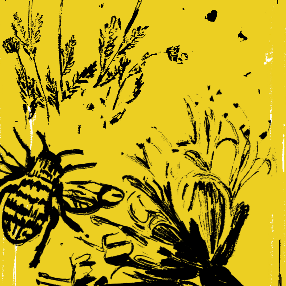 Chocolate Bar packaging