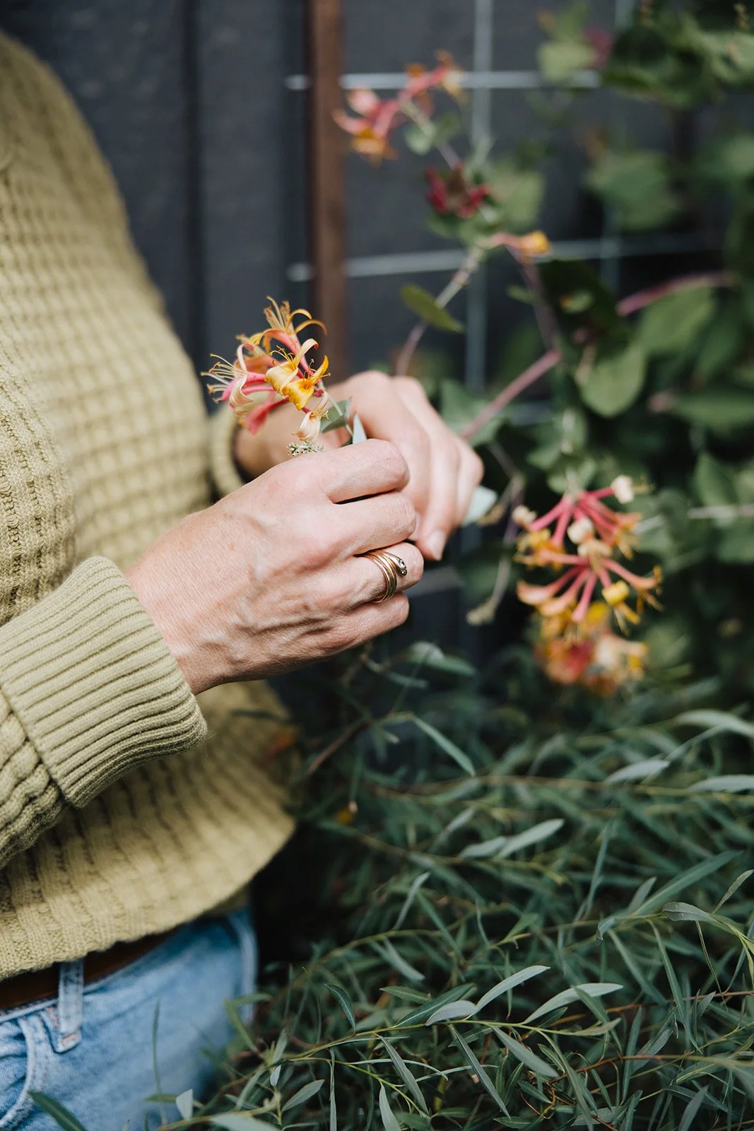 I Took a Step Back (And Nothing Fell Apart)