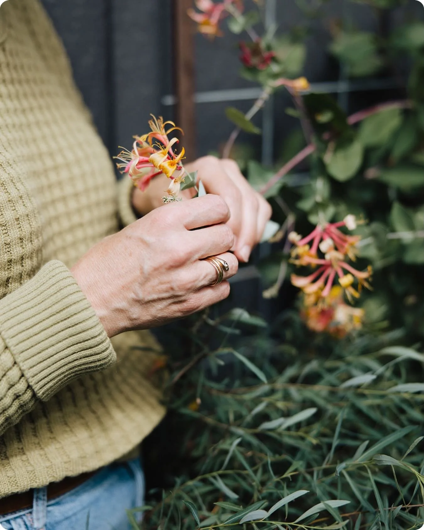 I took a step back for a while. 
Not just from posting. In other small ways, too.
And nothing fell apart.

I wrote a reflection on care, asking different questions, and doing things a little differently.

Link in bio.

#motionally #vernonbc #northoka