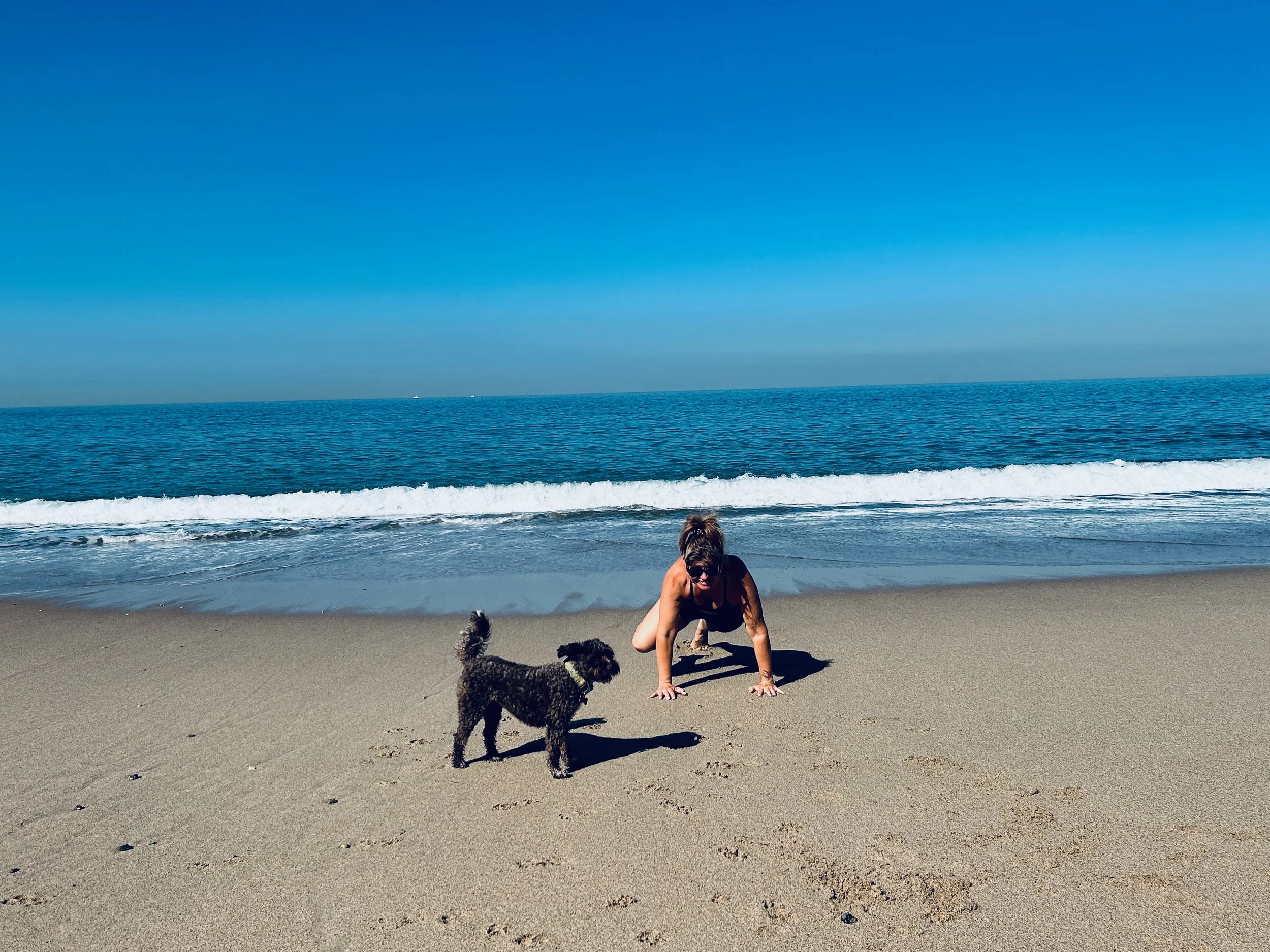 Woman playing with two dogs on a sandy beach with ocean waves and a clear blue sky.