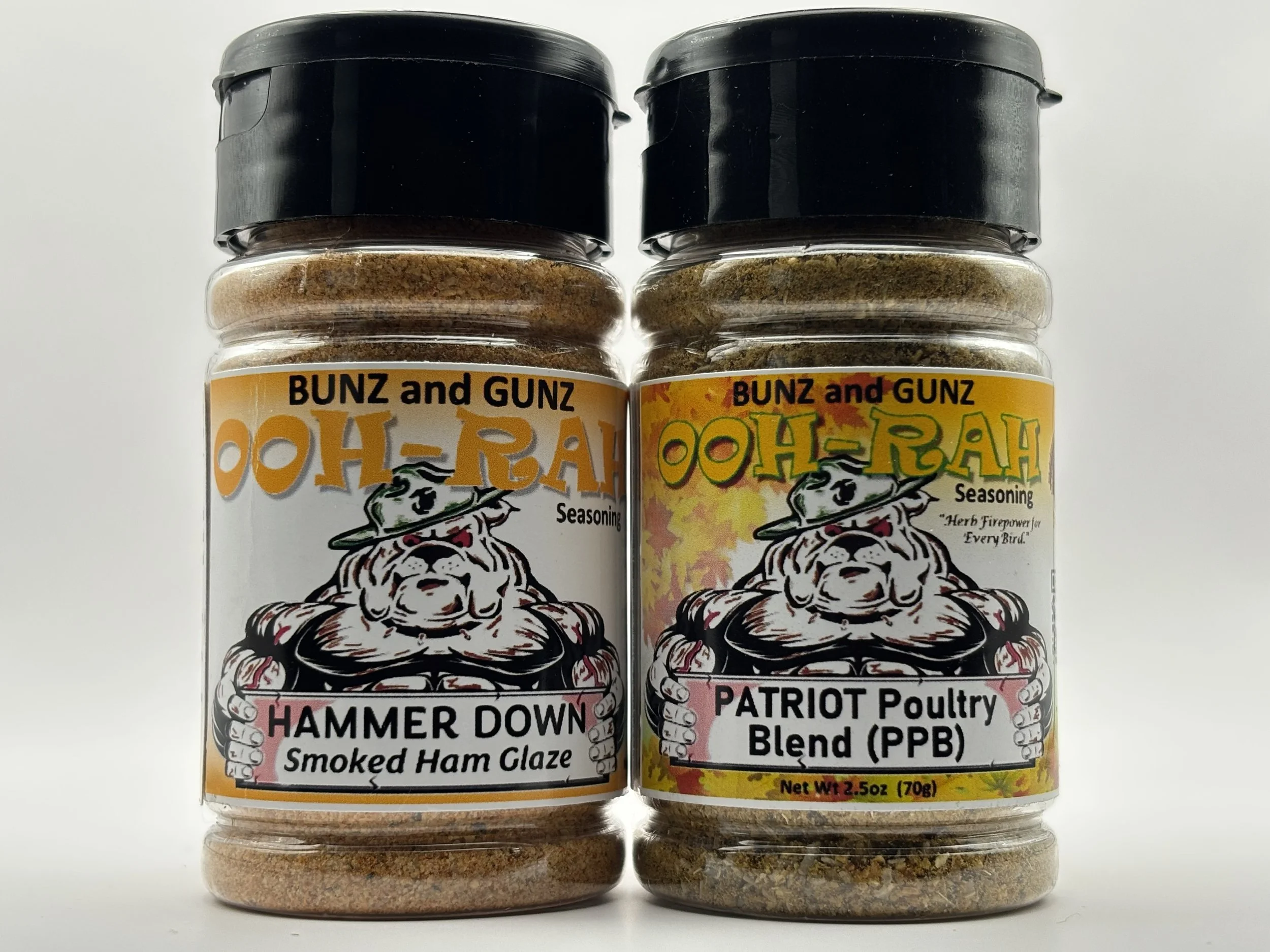 Hammer Down Fireteam 3.jpg