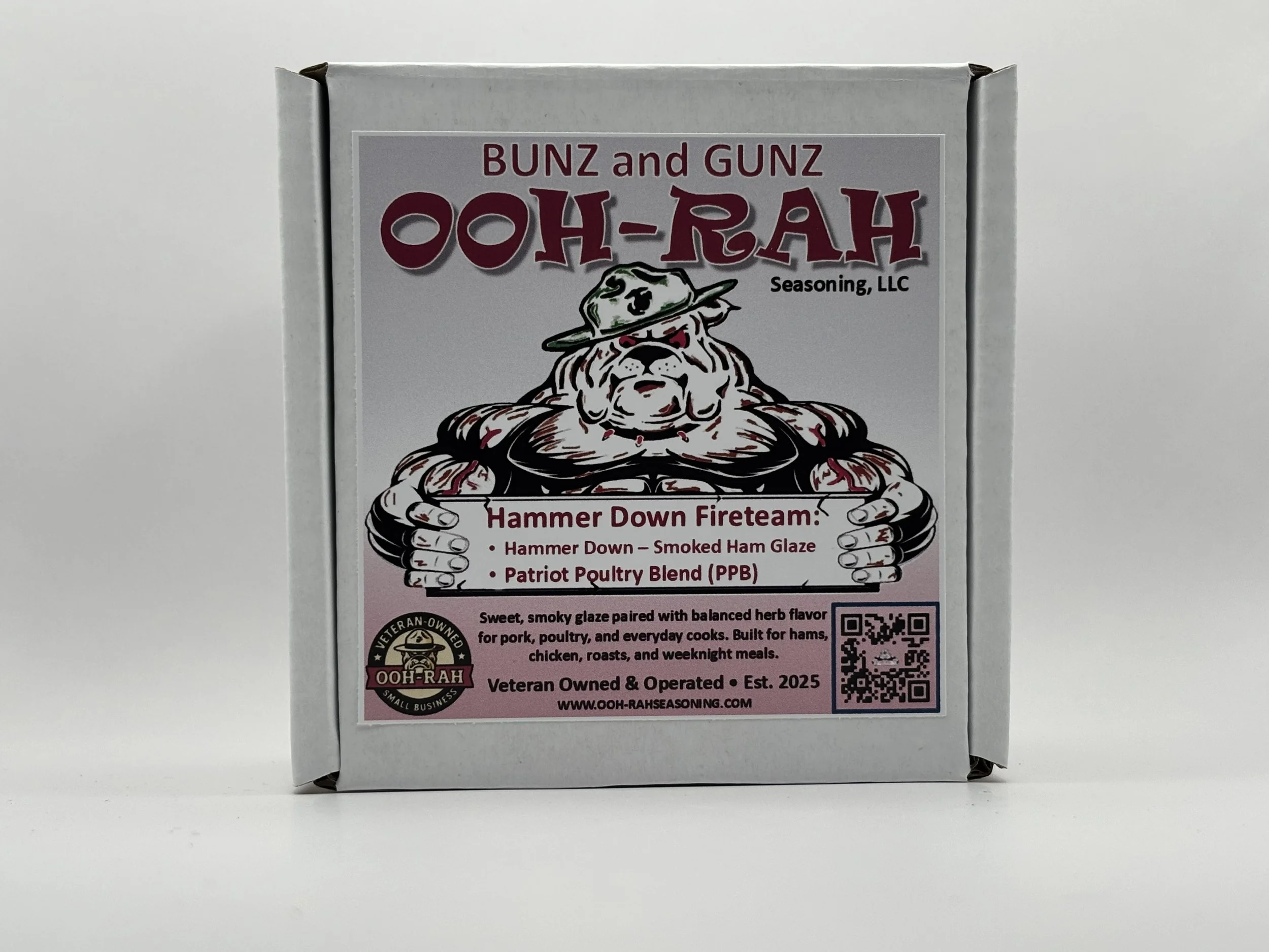 Hammer Down Fireteam 2.jpg