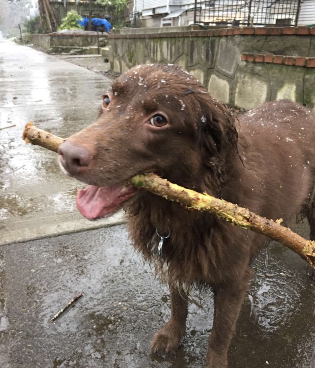 
A collection of Sydney photos 