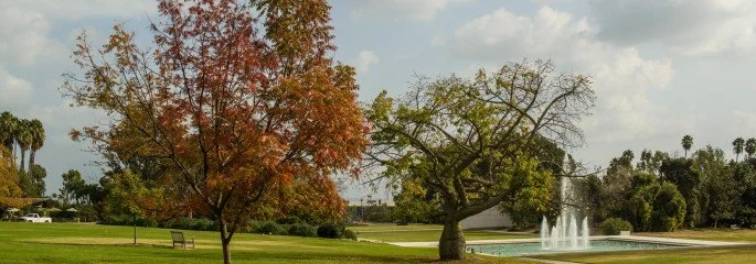 FREE DAY: Los Angeles Arboretum